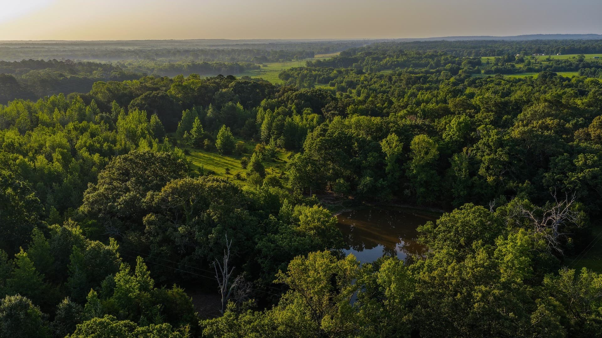 176.9 acres in Van Zandt County - photo 10