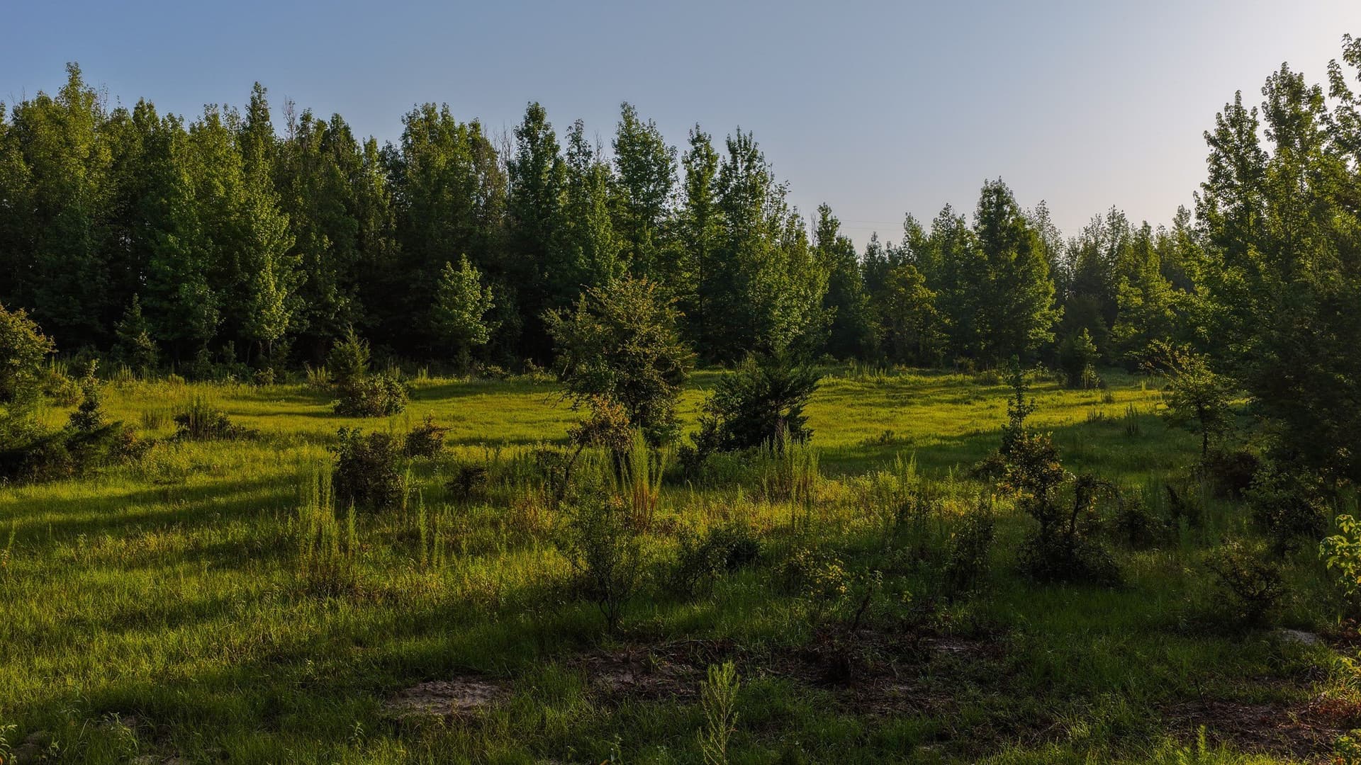 176.9 acres in Van Zandt County - photo 18