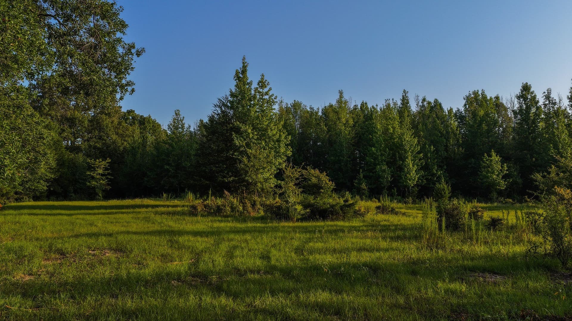 176.9 acres in Van Zandt County - photo 16