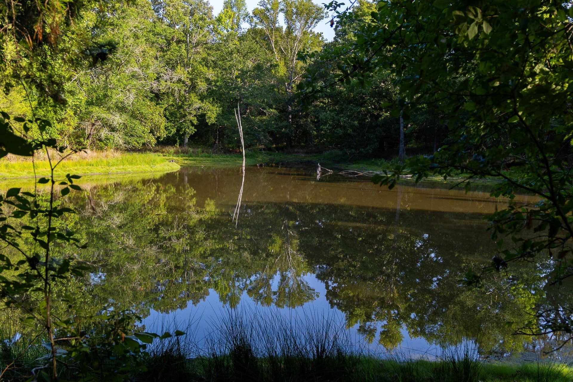 176.9 acres in Van Zandt County featured view