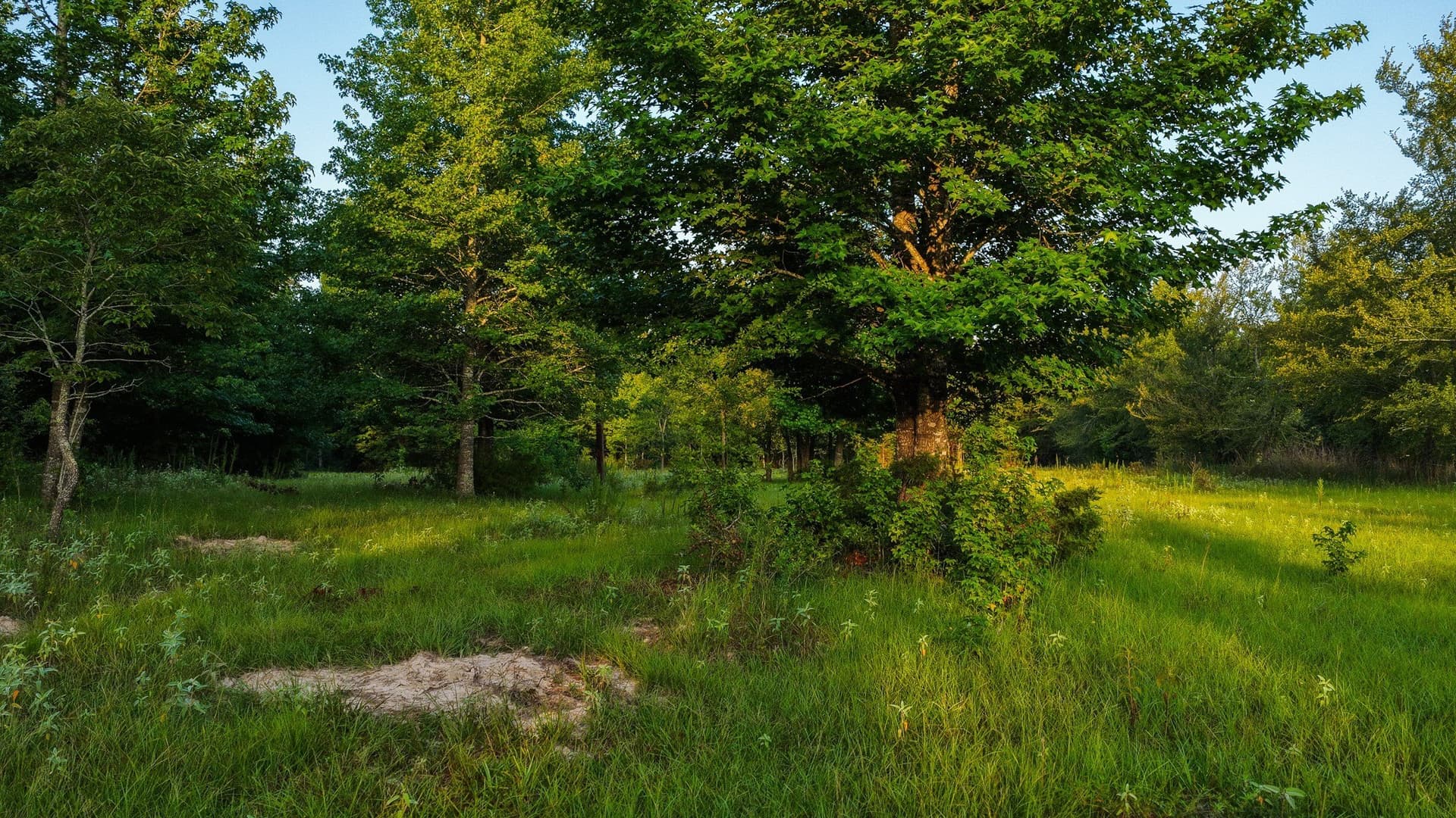 176.9 acres in Van Zandt County - photo 21