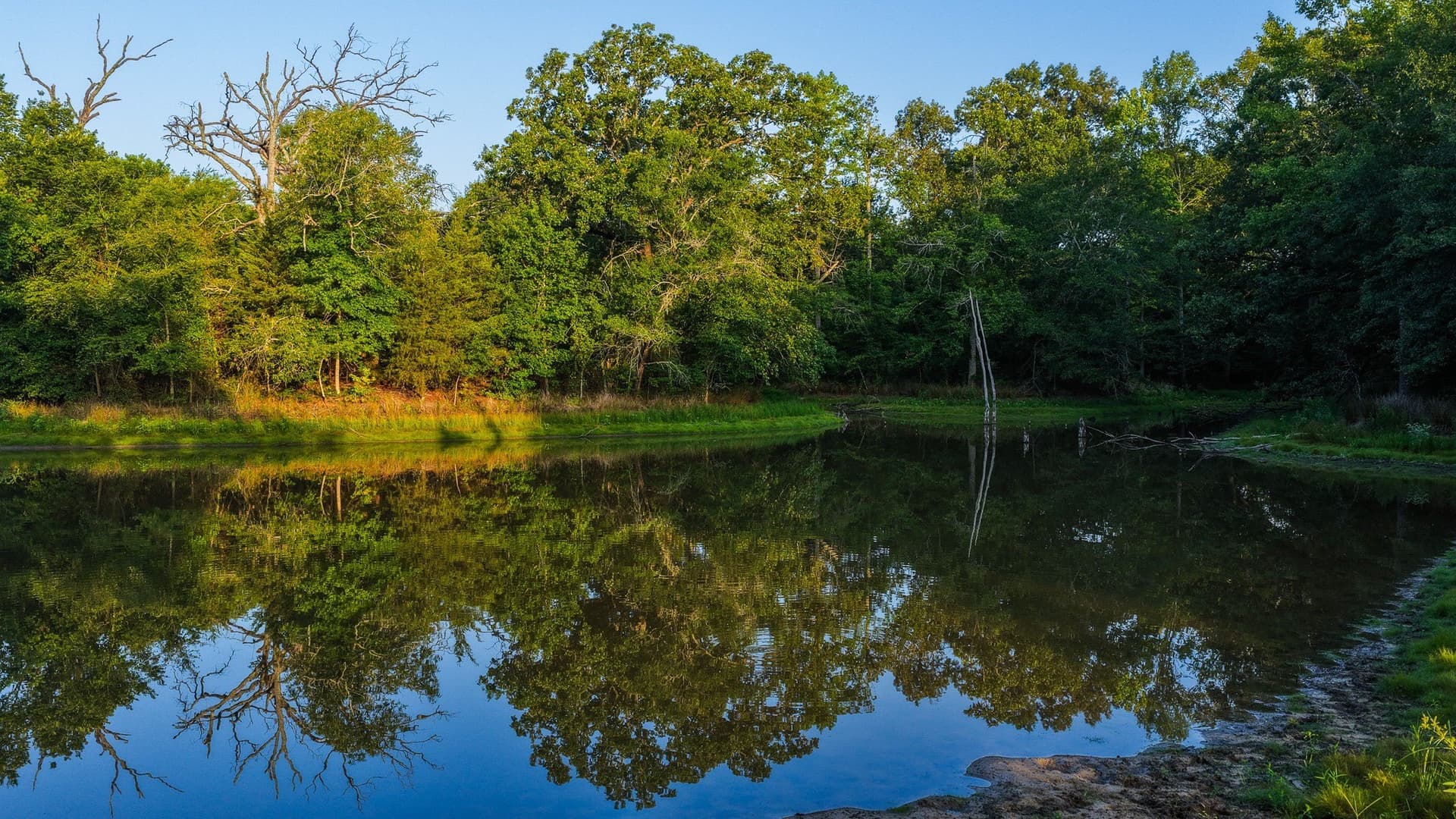 176.9 acres in Van Zandt County gallery image 3