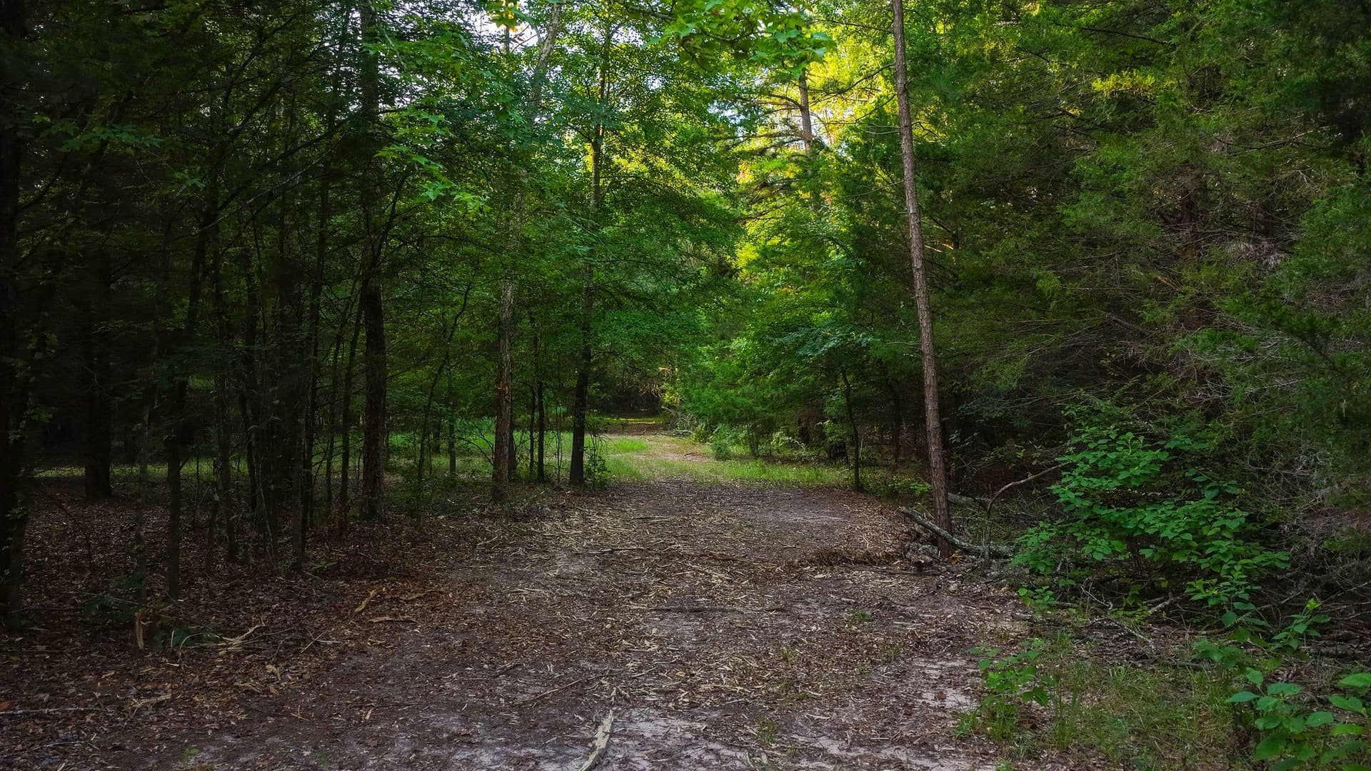 176.9 acres in Van Zandt County - photo 29