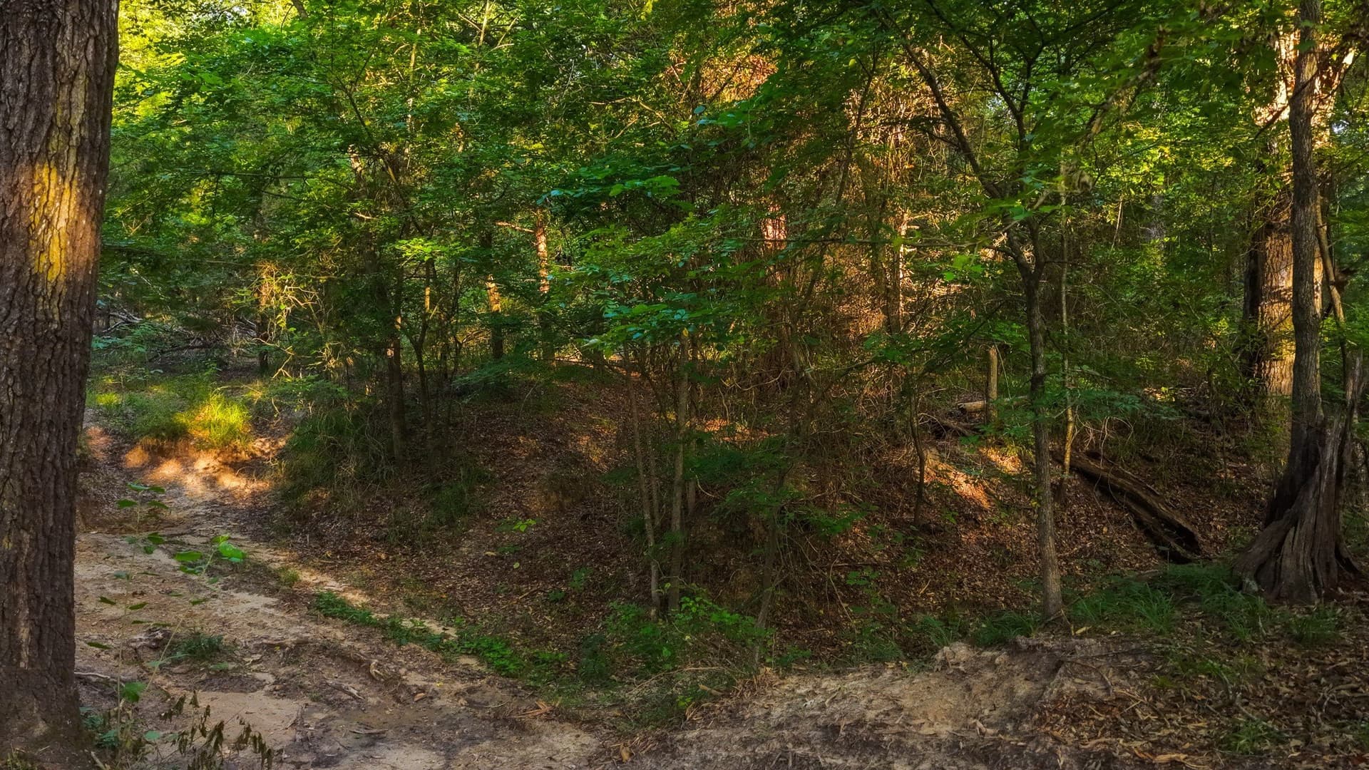 176.9 acres in Van Zandt County - photo 25