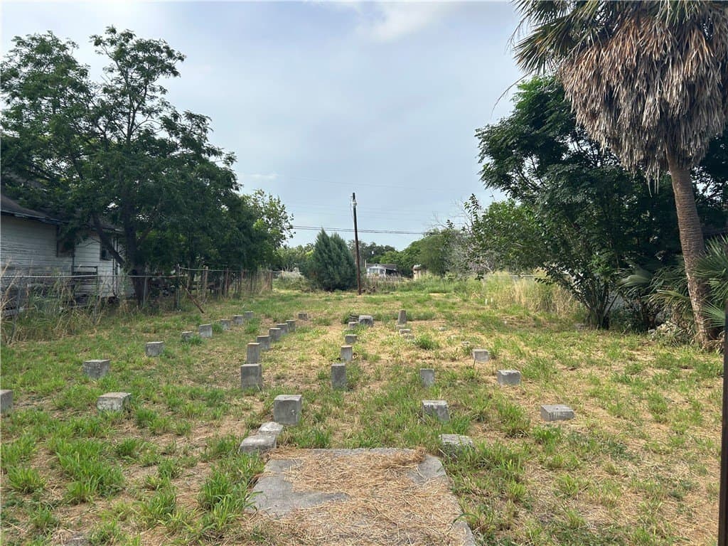 0.16 acres in Nueces County gallery image 4