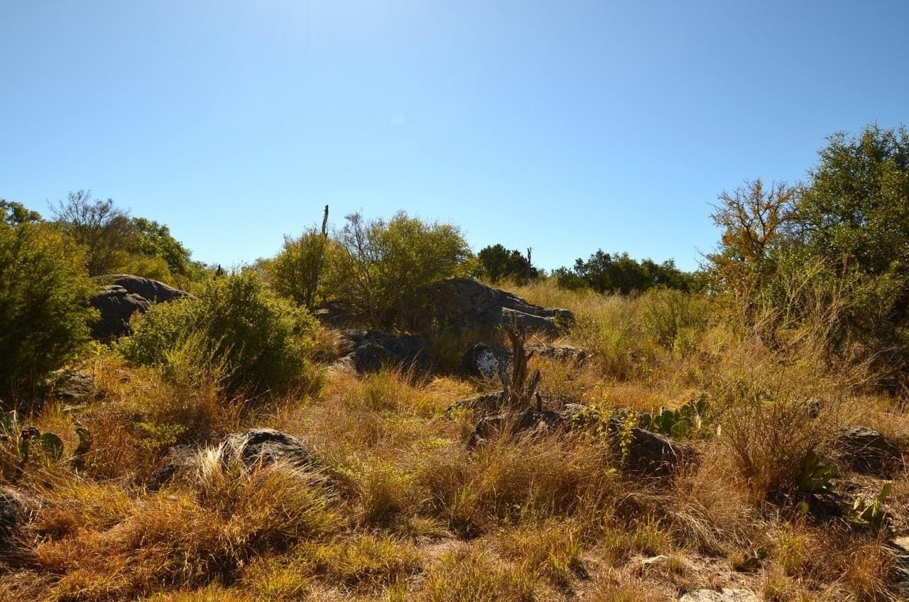 0.3 acres in Llano County - photo 14
