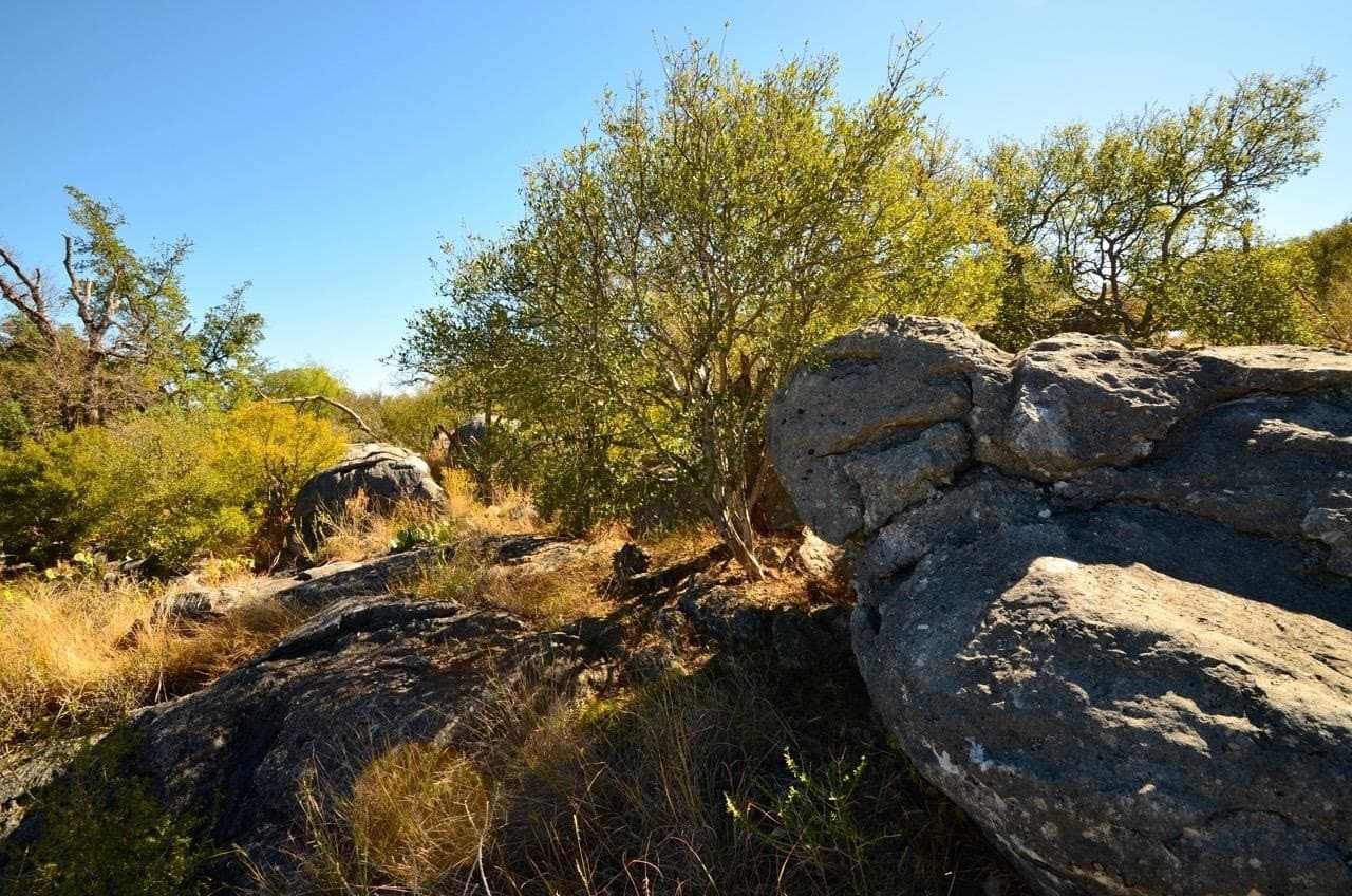 0.3 acres in Llano County - photo 7
