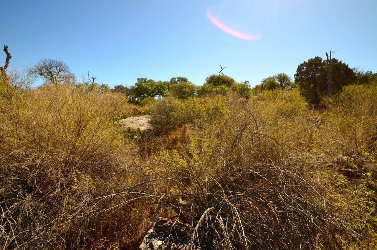 0.3 acres in Llano County - photo 10