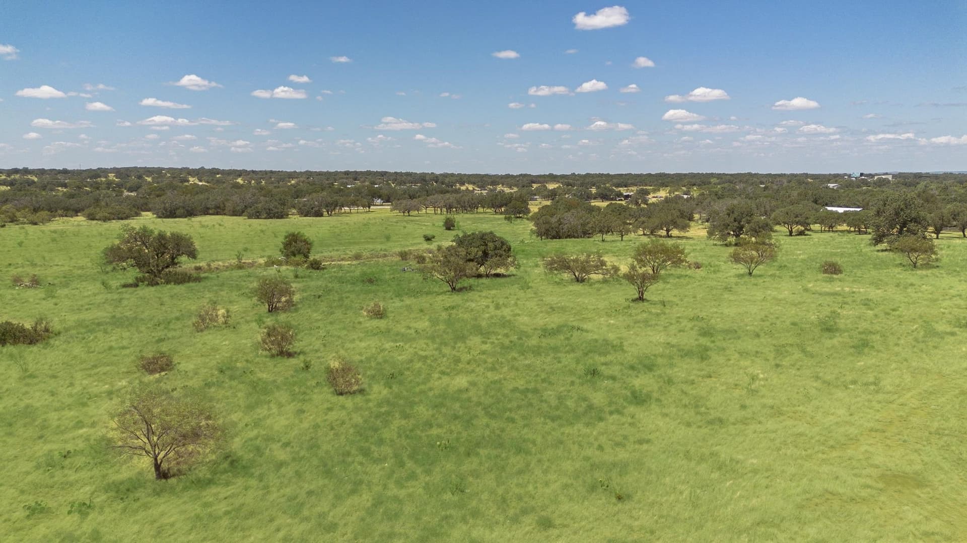 10 acres in Blanco County - photo 22