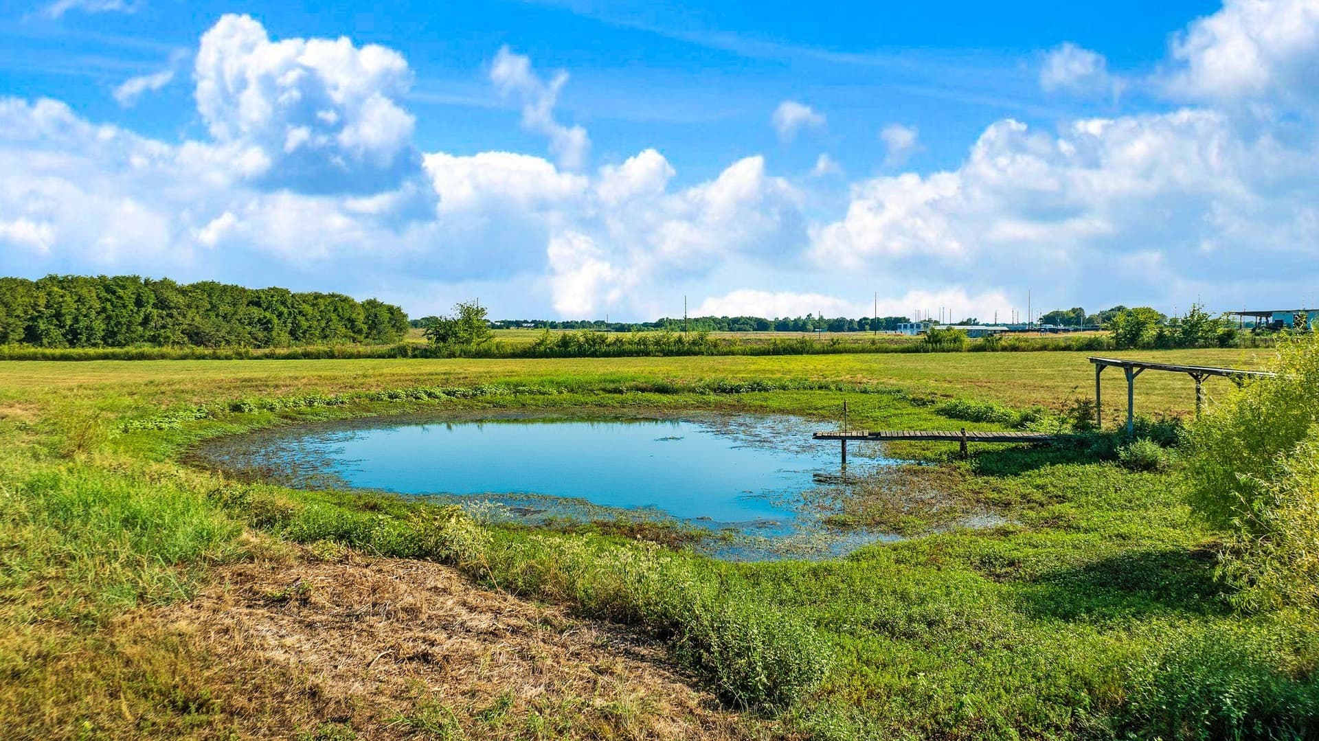 3.51 acres in Lamar County - photo 4