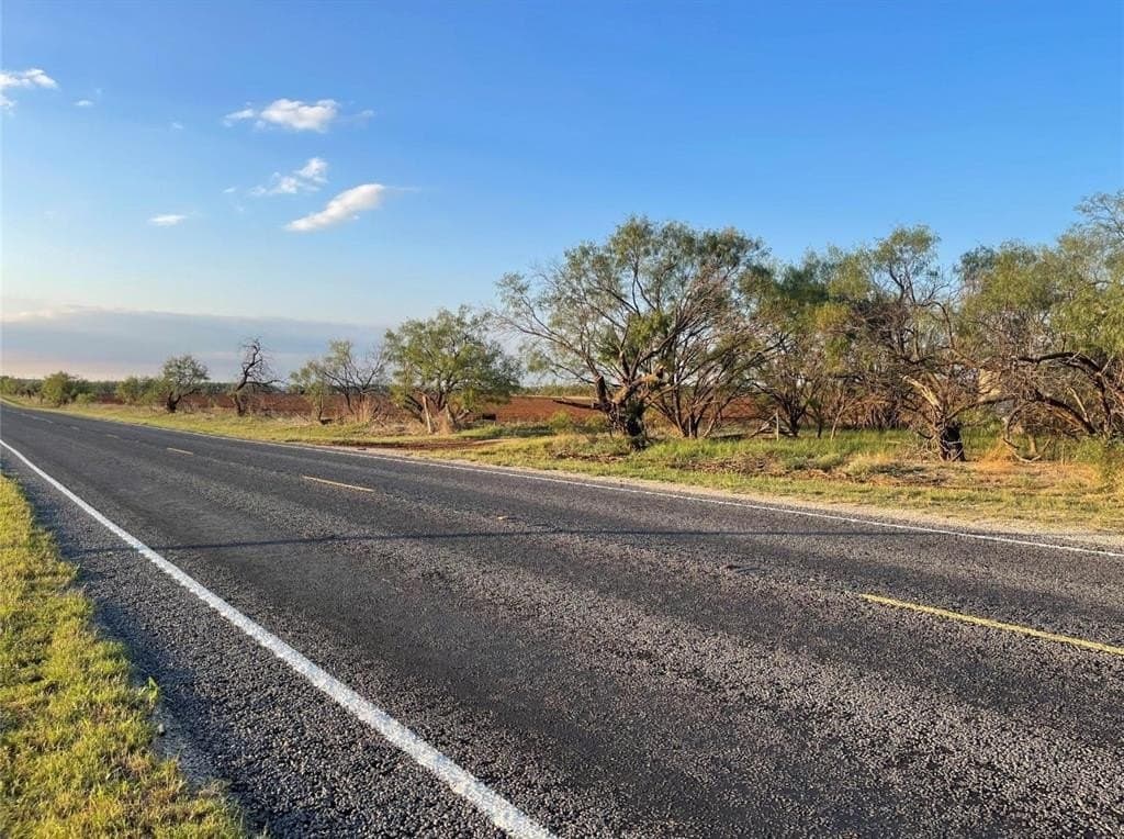 14 acres in Taylor County gallery image 2