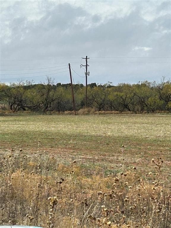 14 acres in Taylor County gallery image 4