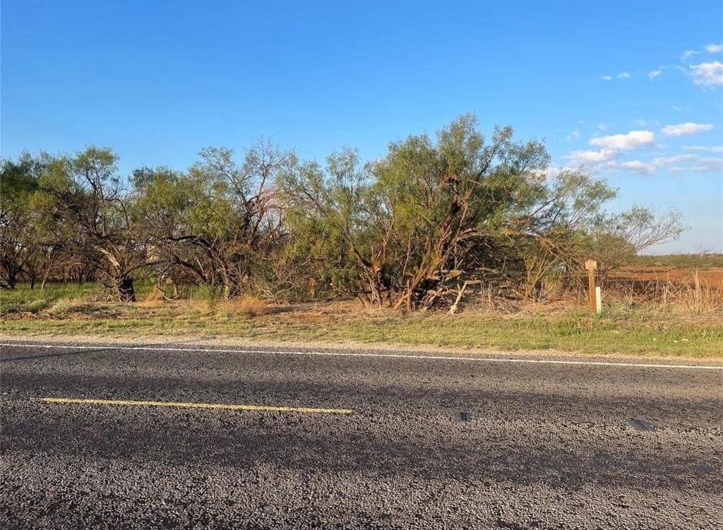 14 acres in Taylor County gallery image 3