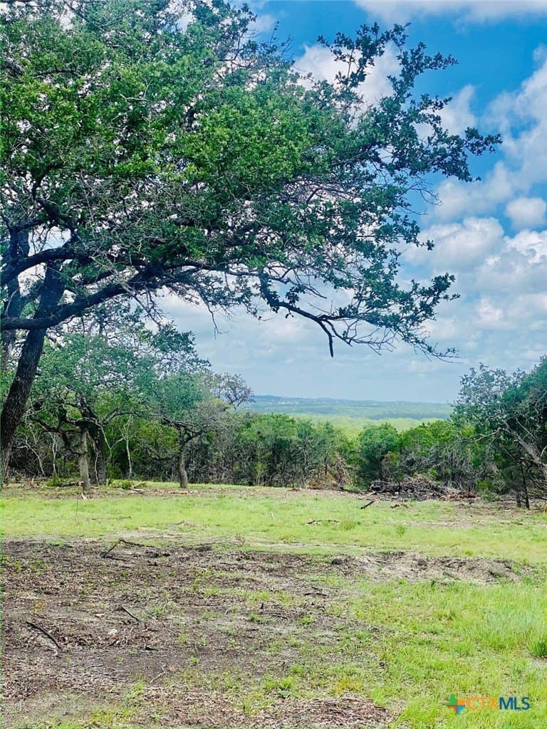 6.47 acres in Comal County gallery image 2