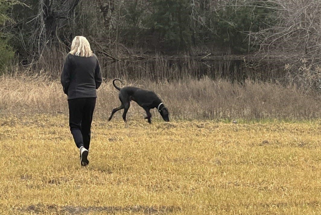46.92 acres in Hill County