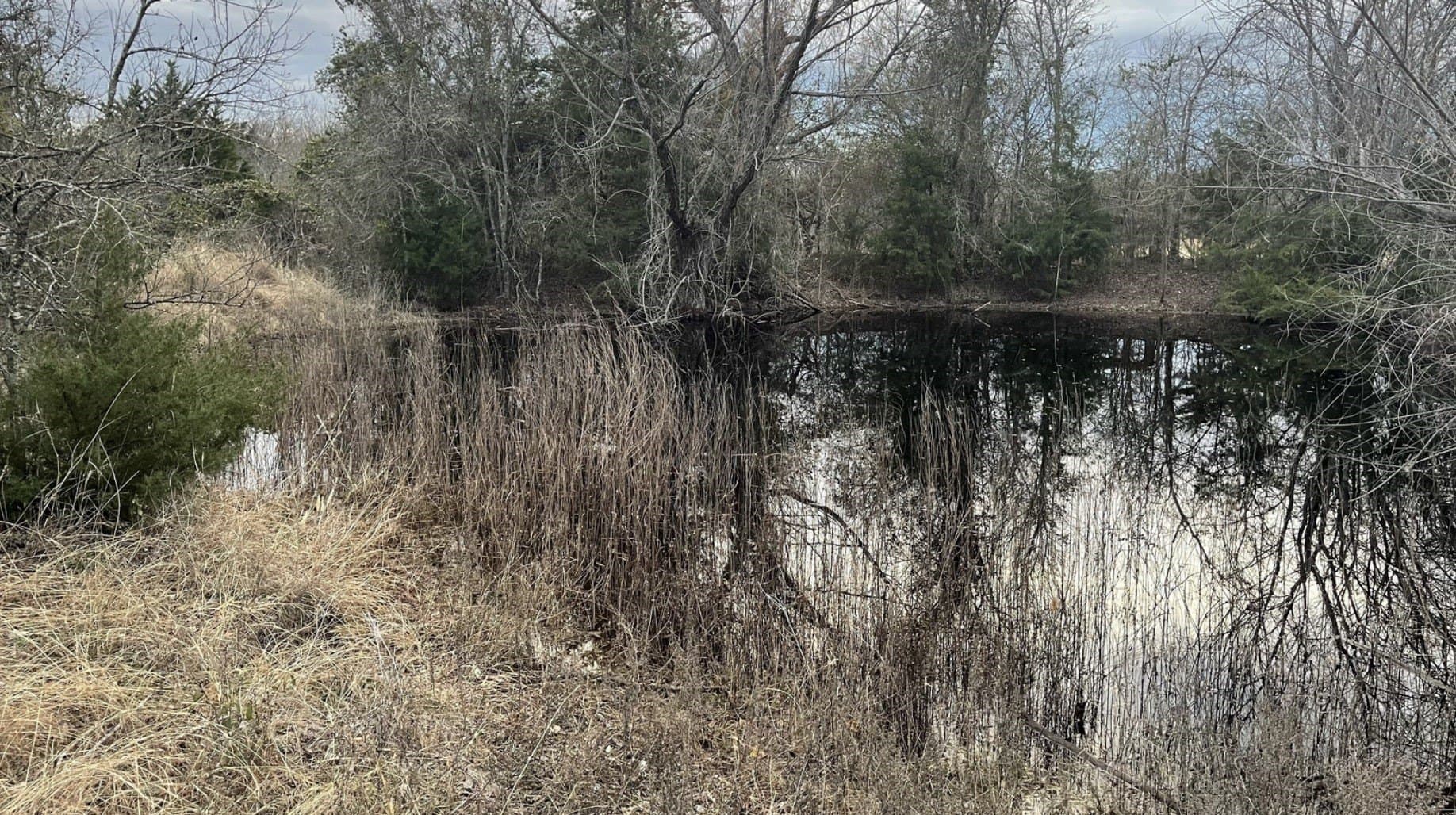 46.92 acres in Hill County gallery image 2