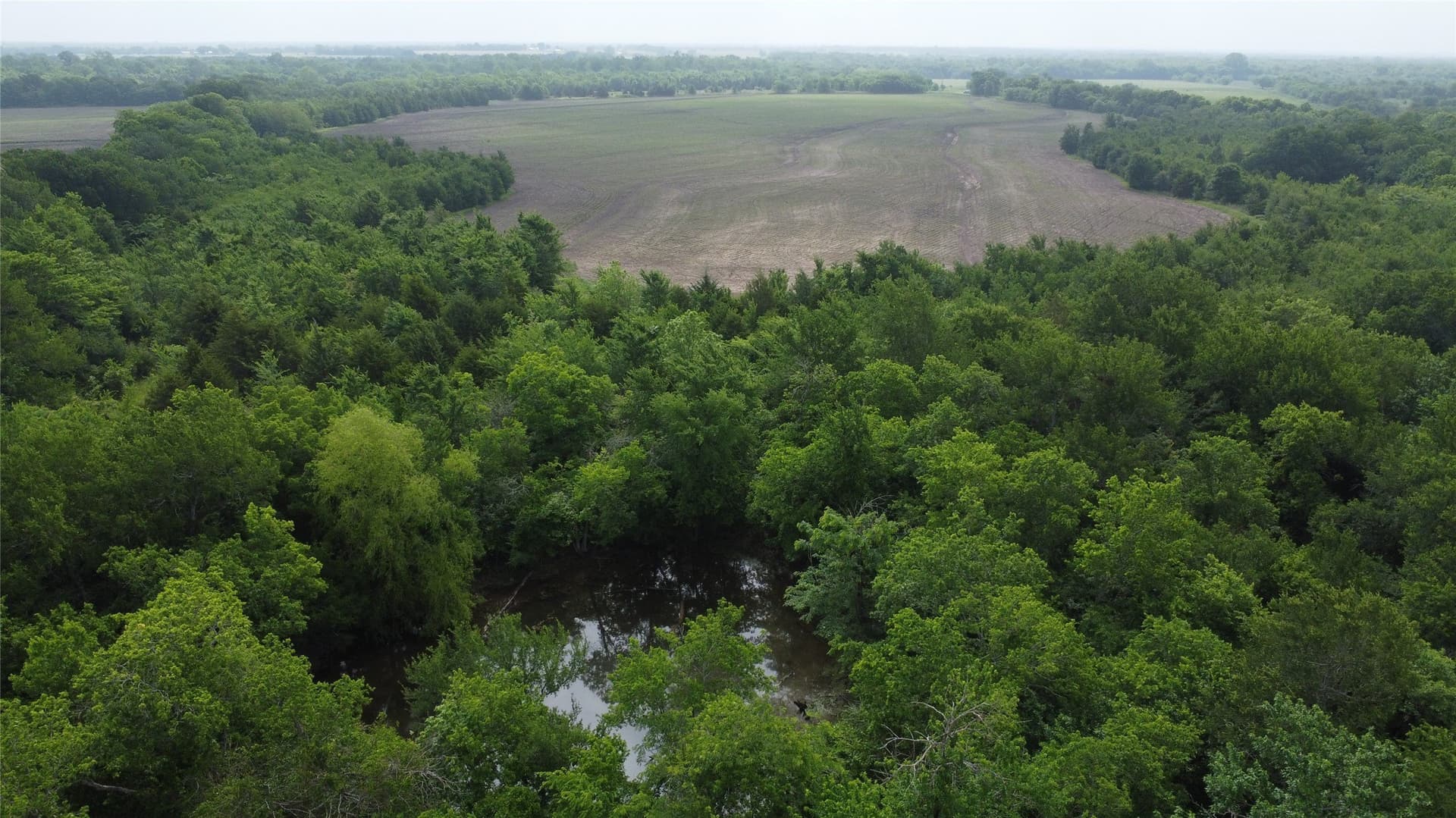 125.93 acres in Hunt County - photo 22