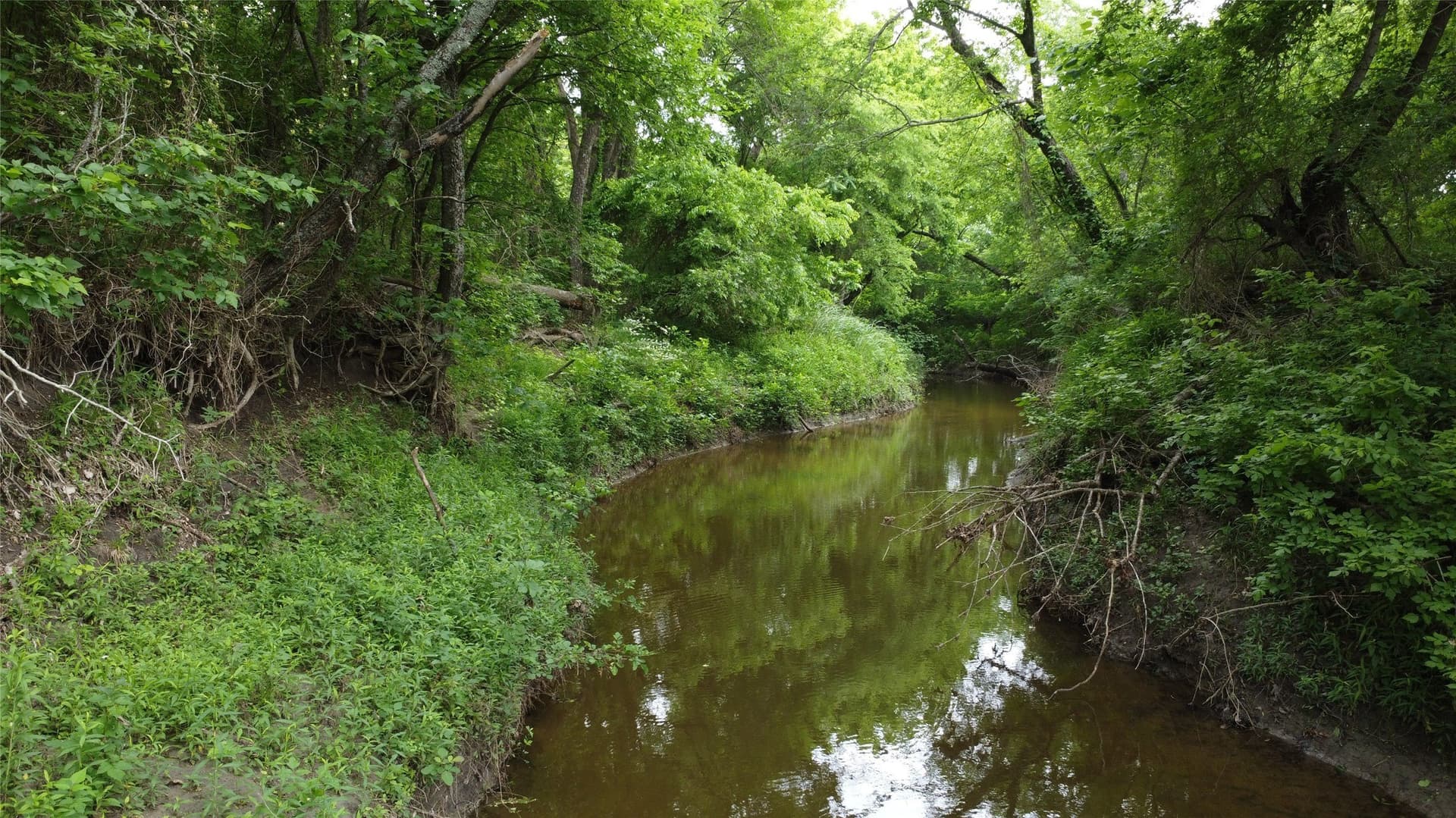 125.93 acres in Hunt County - photo 27