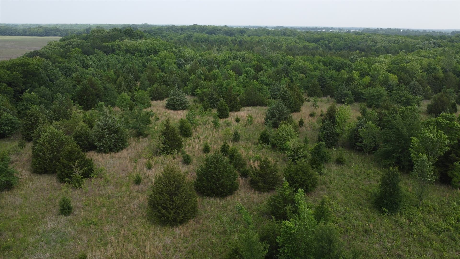 125.93 acres in Hunt County - photo 15