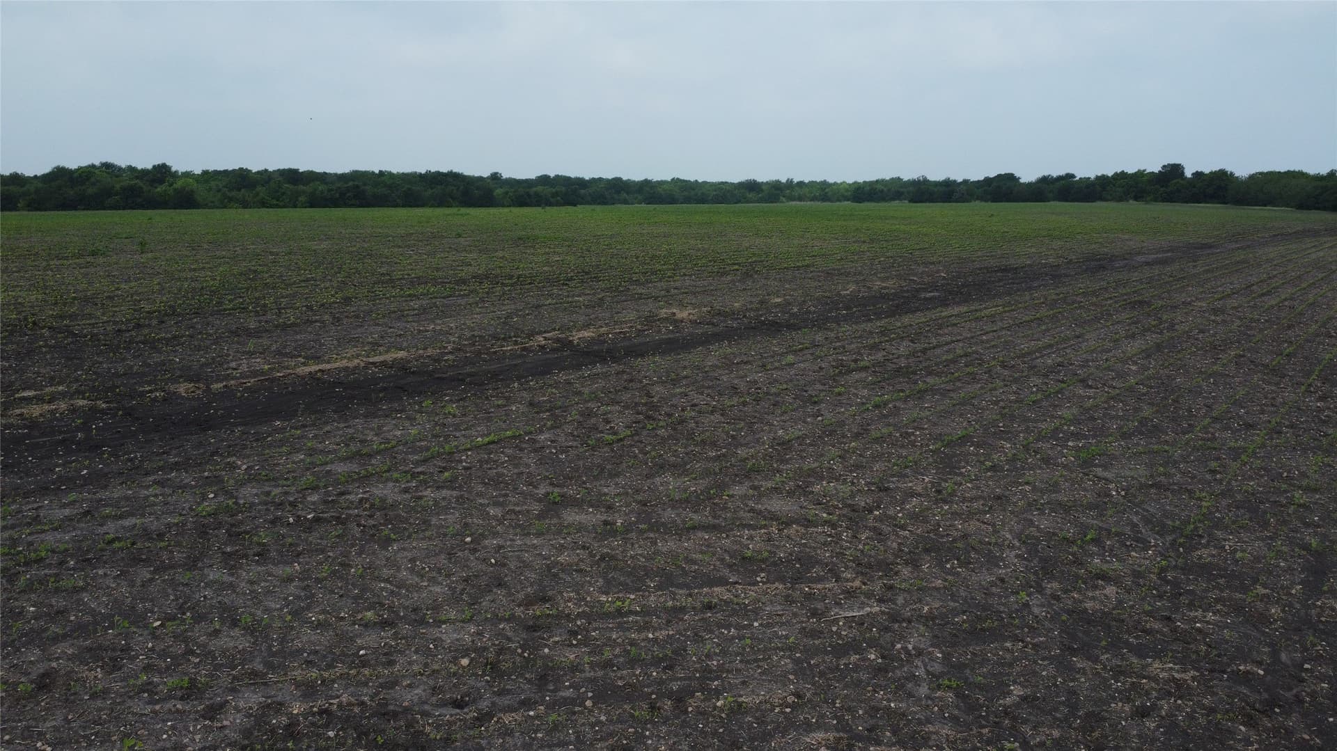 125.93 acres in Hunt County - photo 17