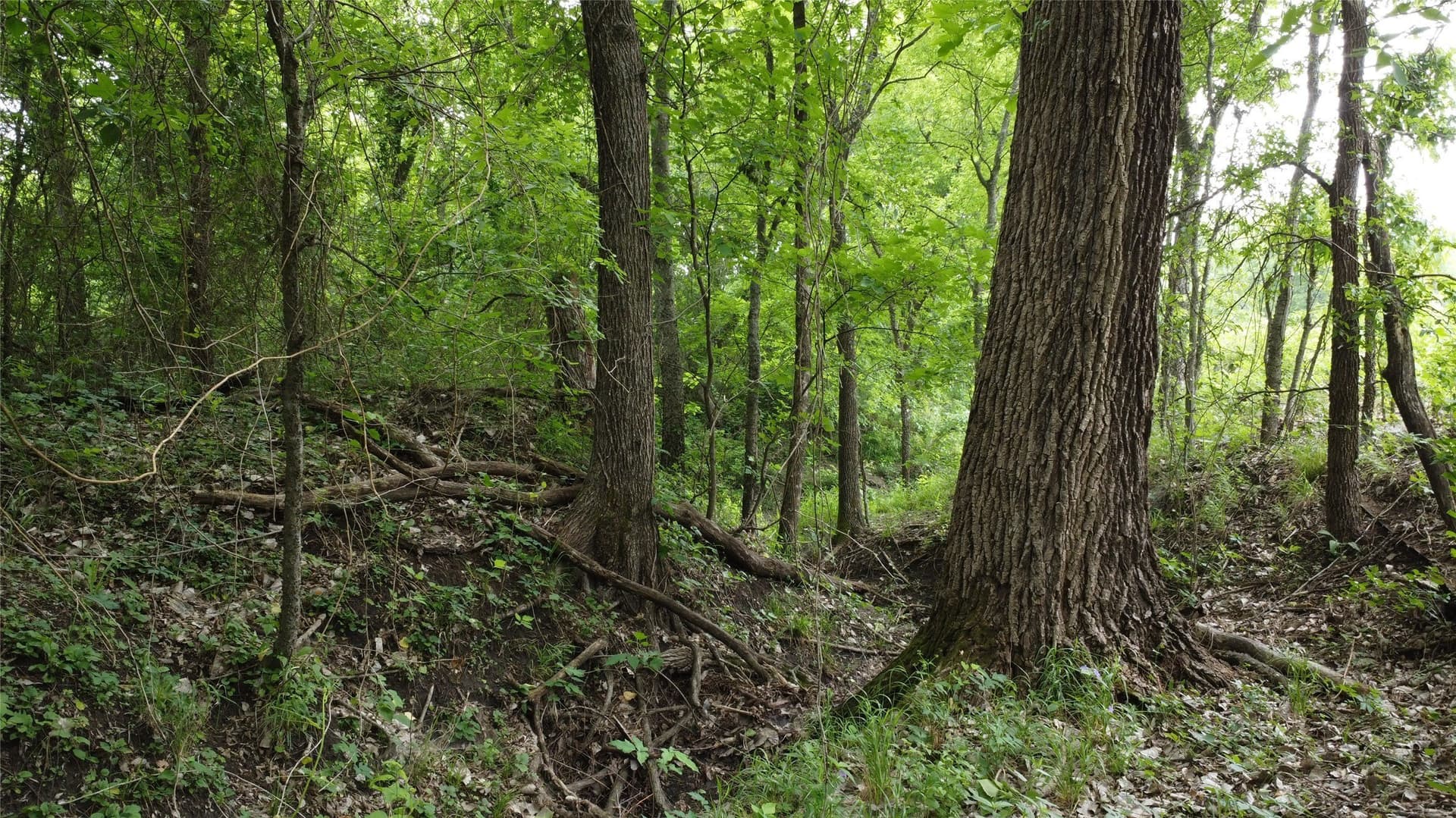 125.93 acres in Hunt County - photo 28