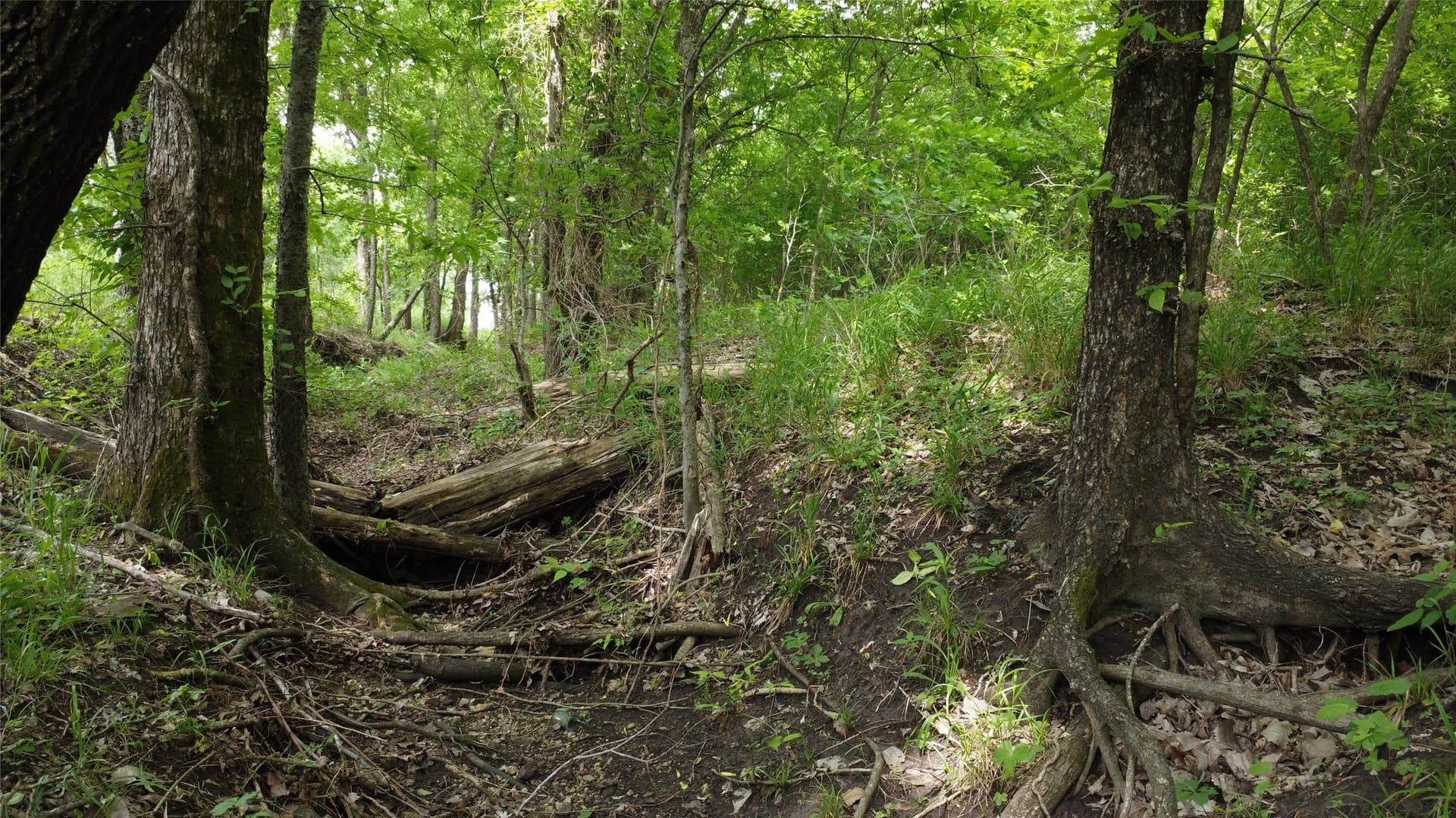 125.93 acres in Hunt County - photo 6