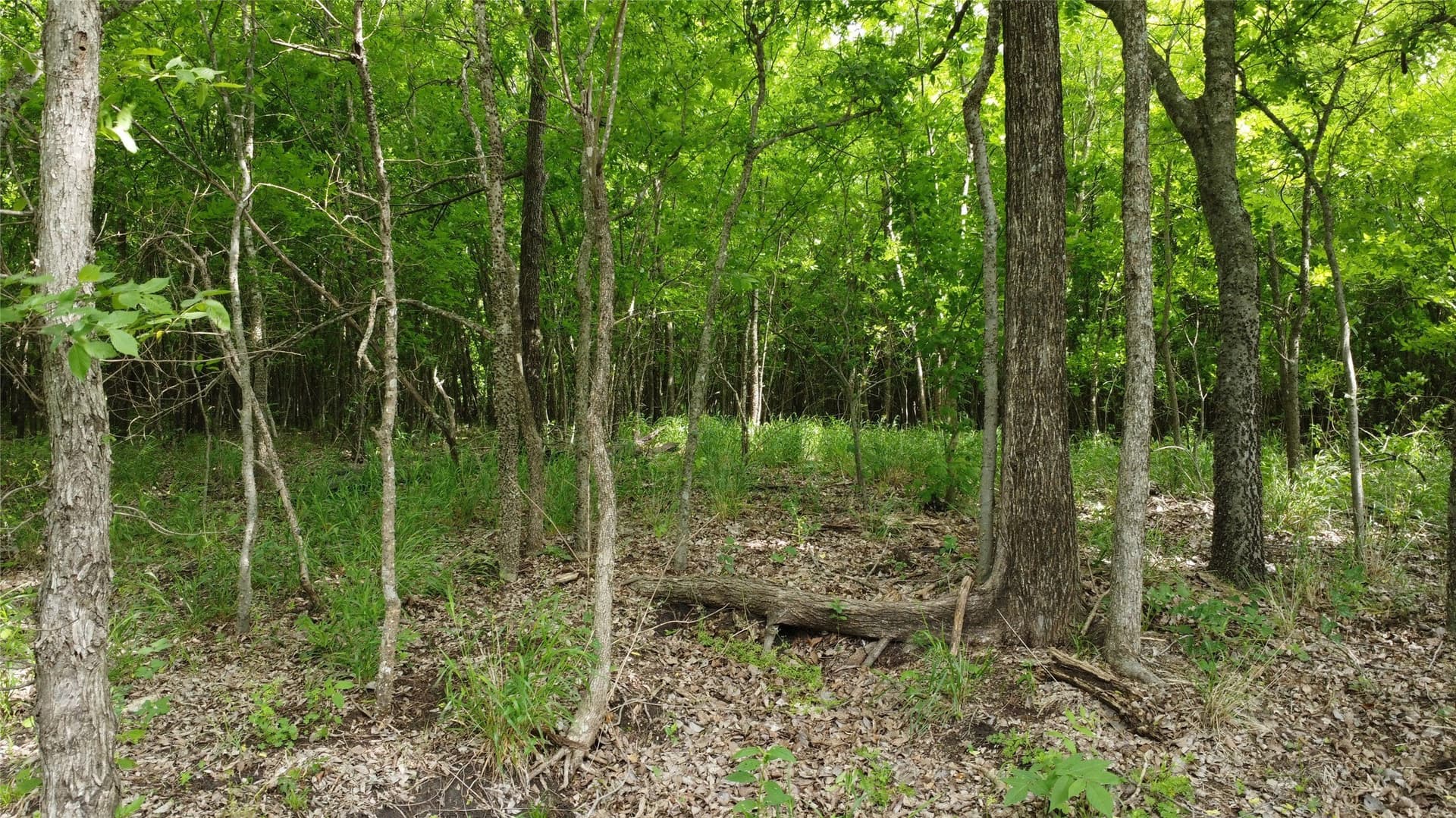 125.93 acres in Hunt County - photo 25
