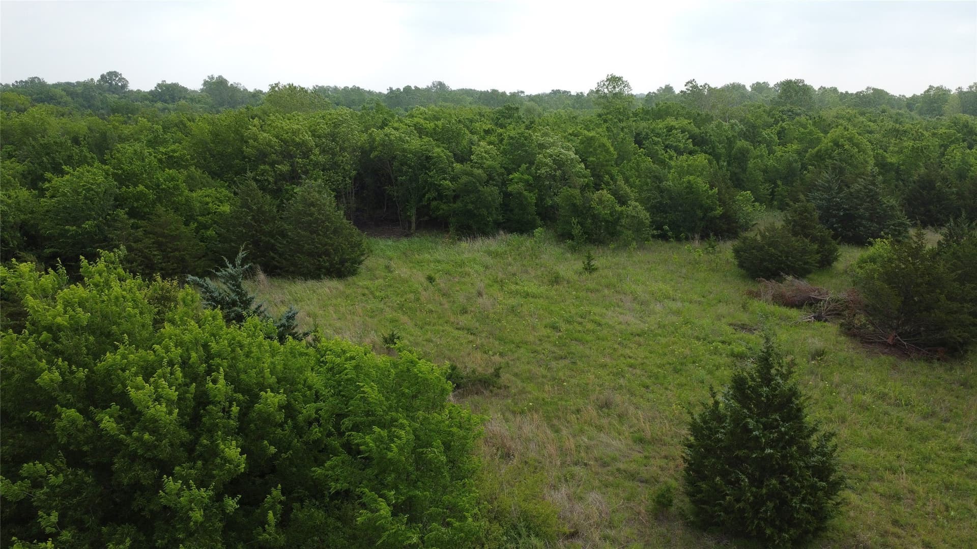 125.93 acres in Hunt County - photo 11