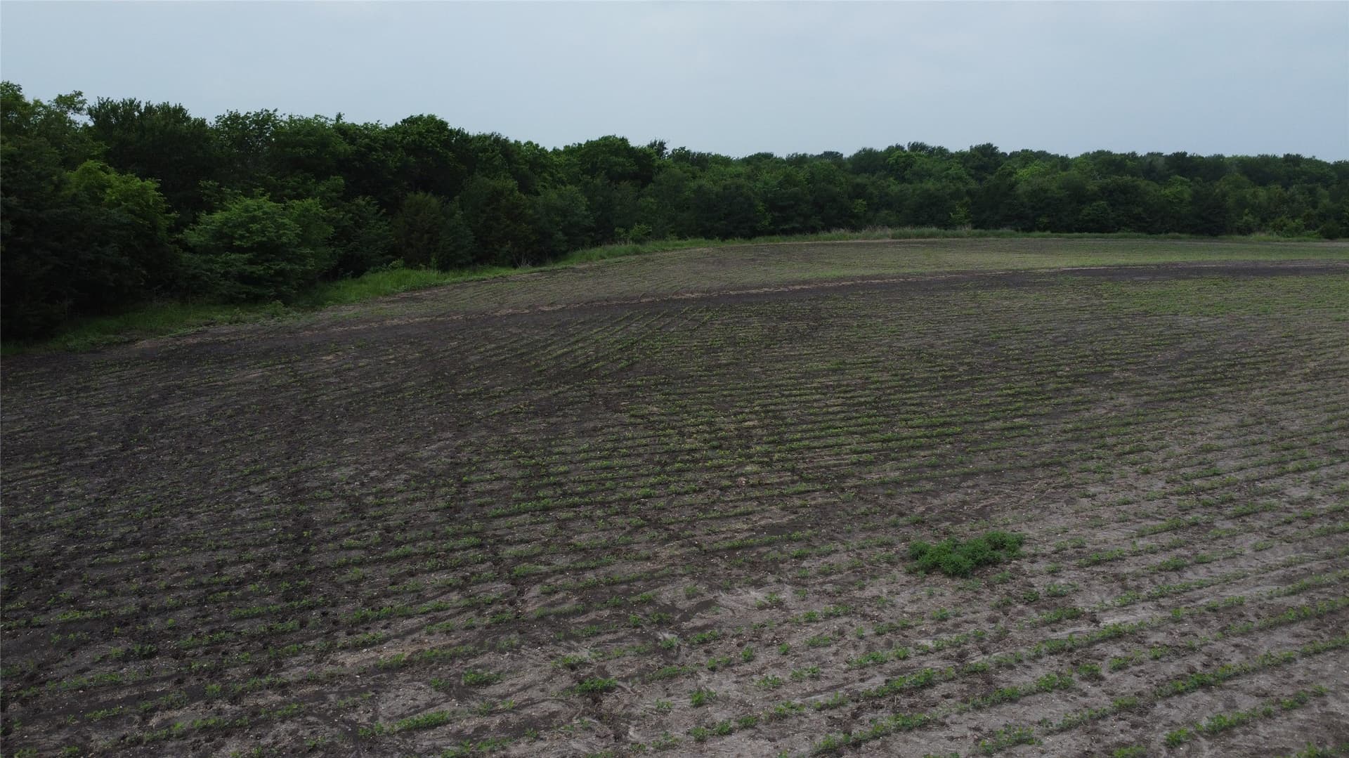 125.93 acres in Hunt County - photo 18
