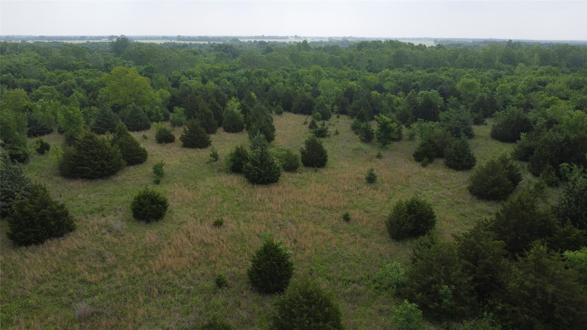 125.93 acres in Hunt County - photo 12