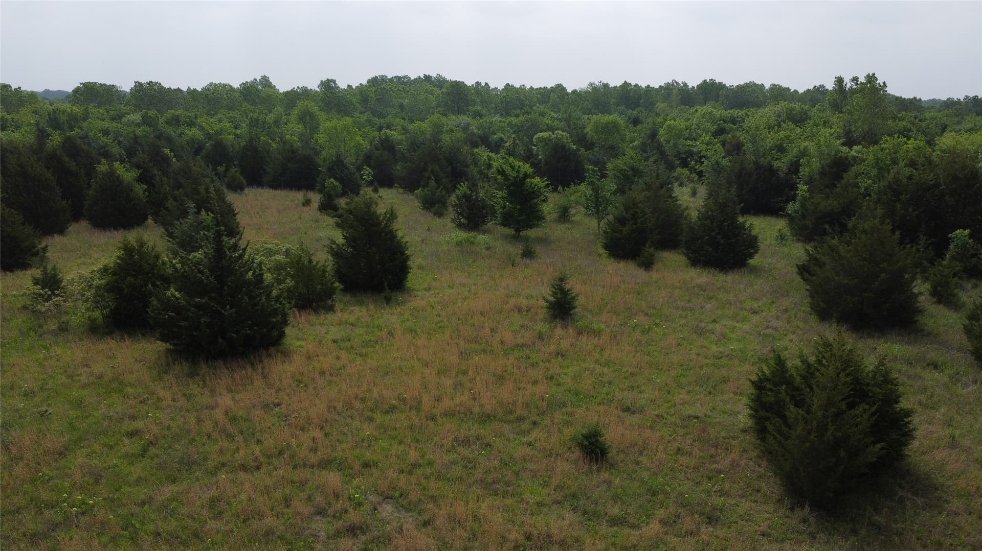 125.93 acres in Hunt County - photo 24