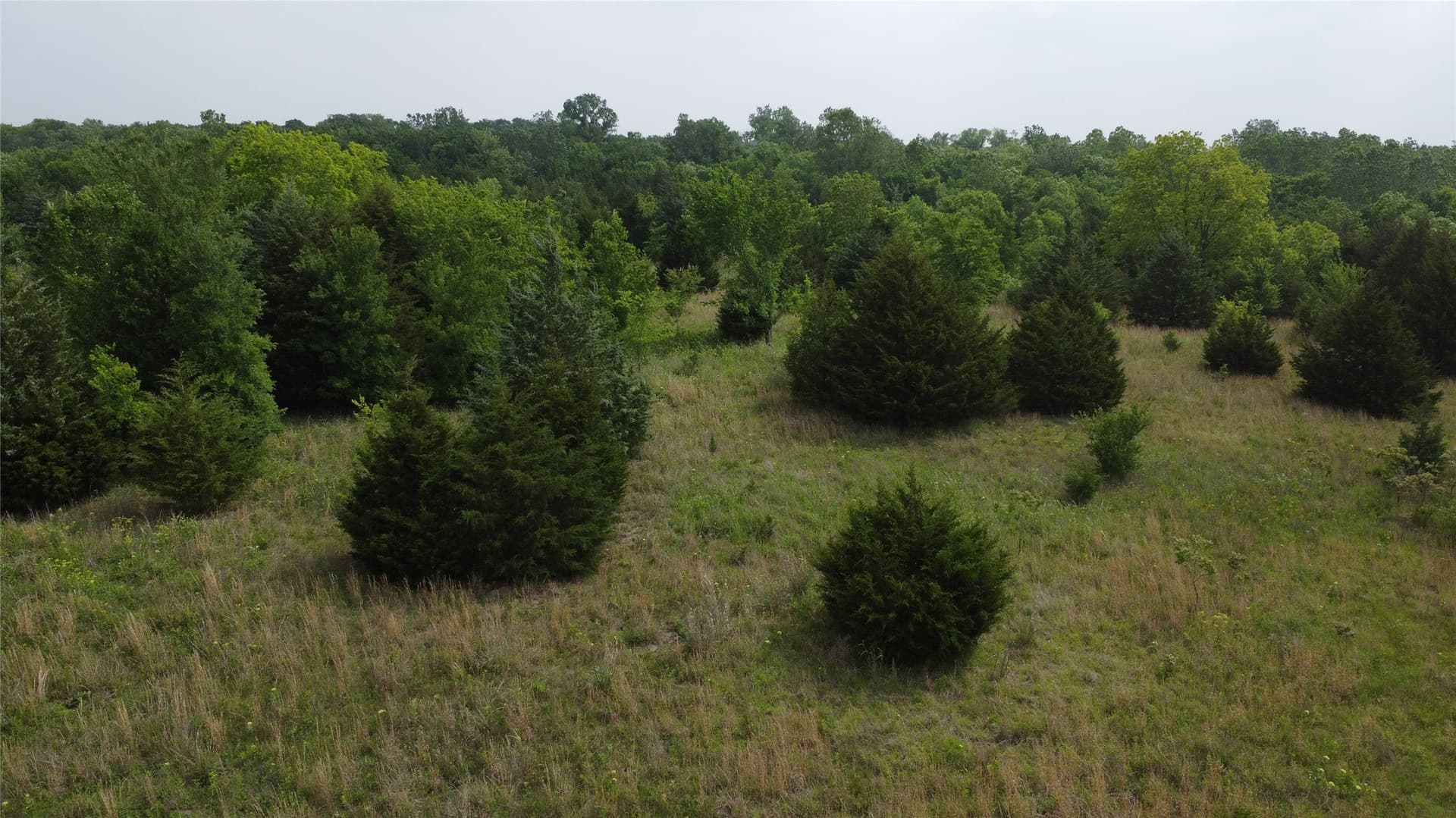 125.93 acres in Hunt County - photo 23