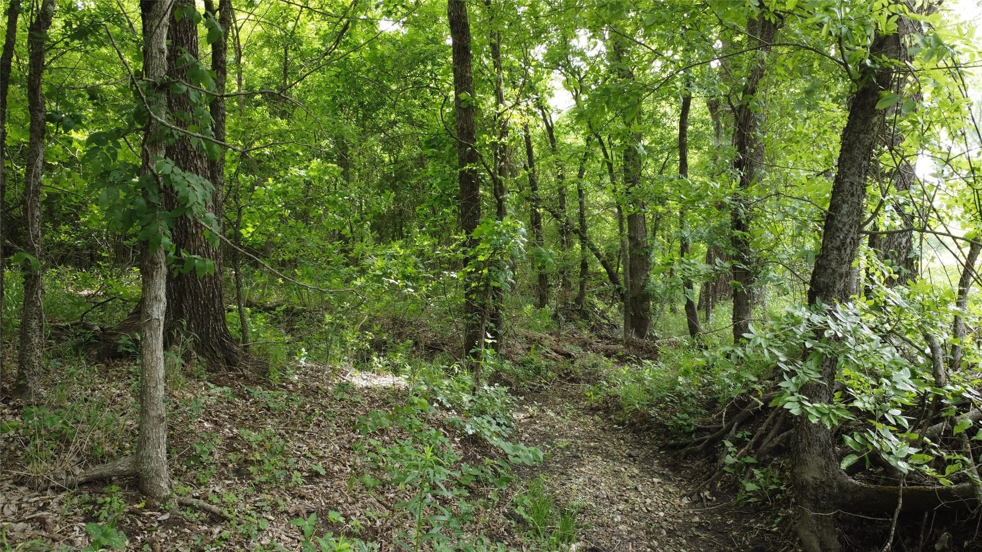125.93 acres in Hunt County - photo 26