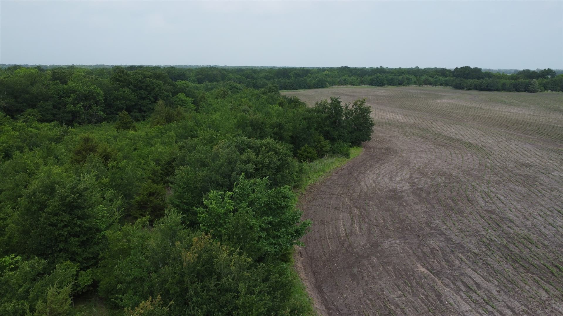 125.93 acres in Hunt County - photo 19