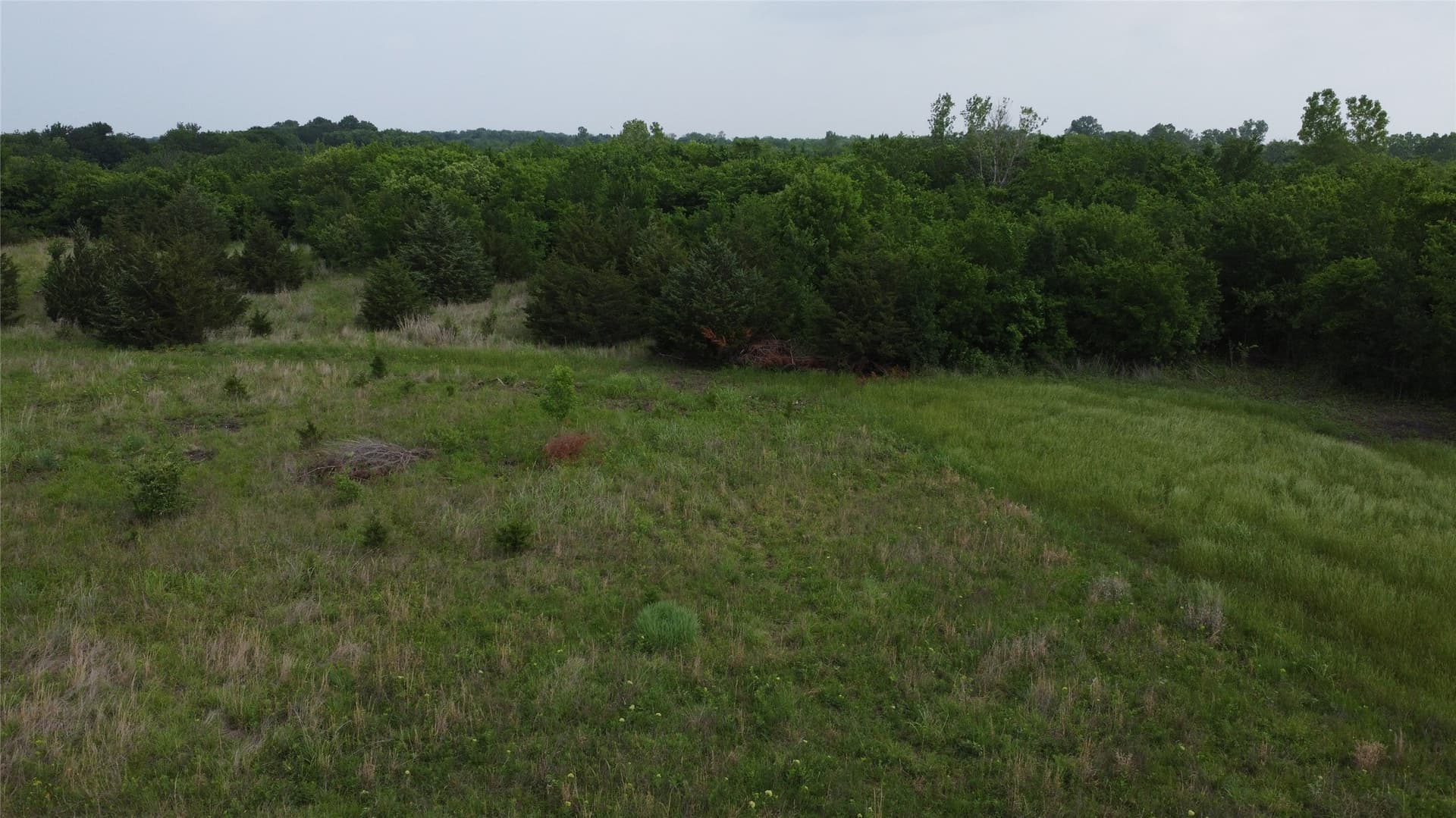 125.93 acres in Hunt County - photo 10
