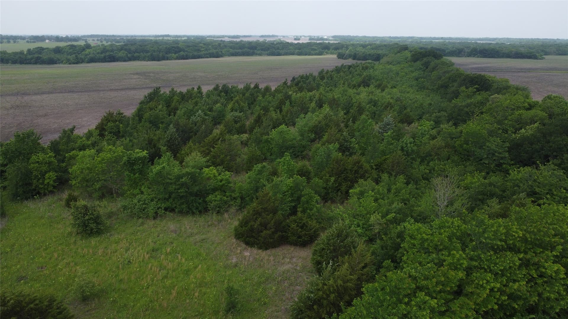 125.93 acres in Hunt County - photo 14