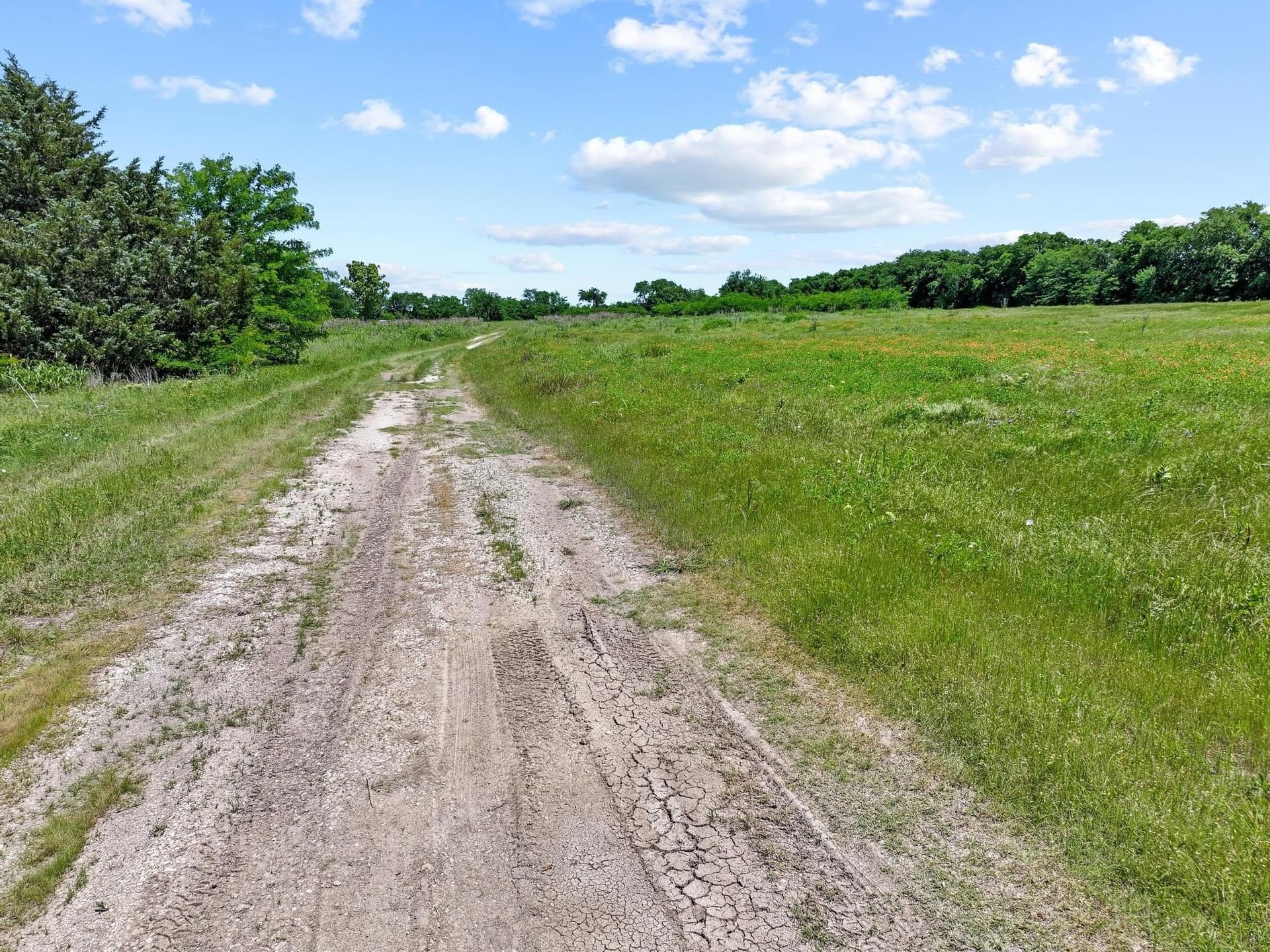 13.76 acres in Grayson County - photo 22