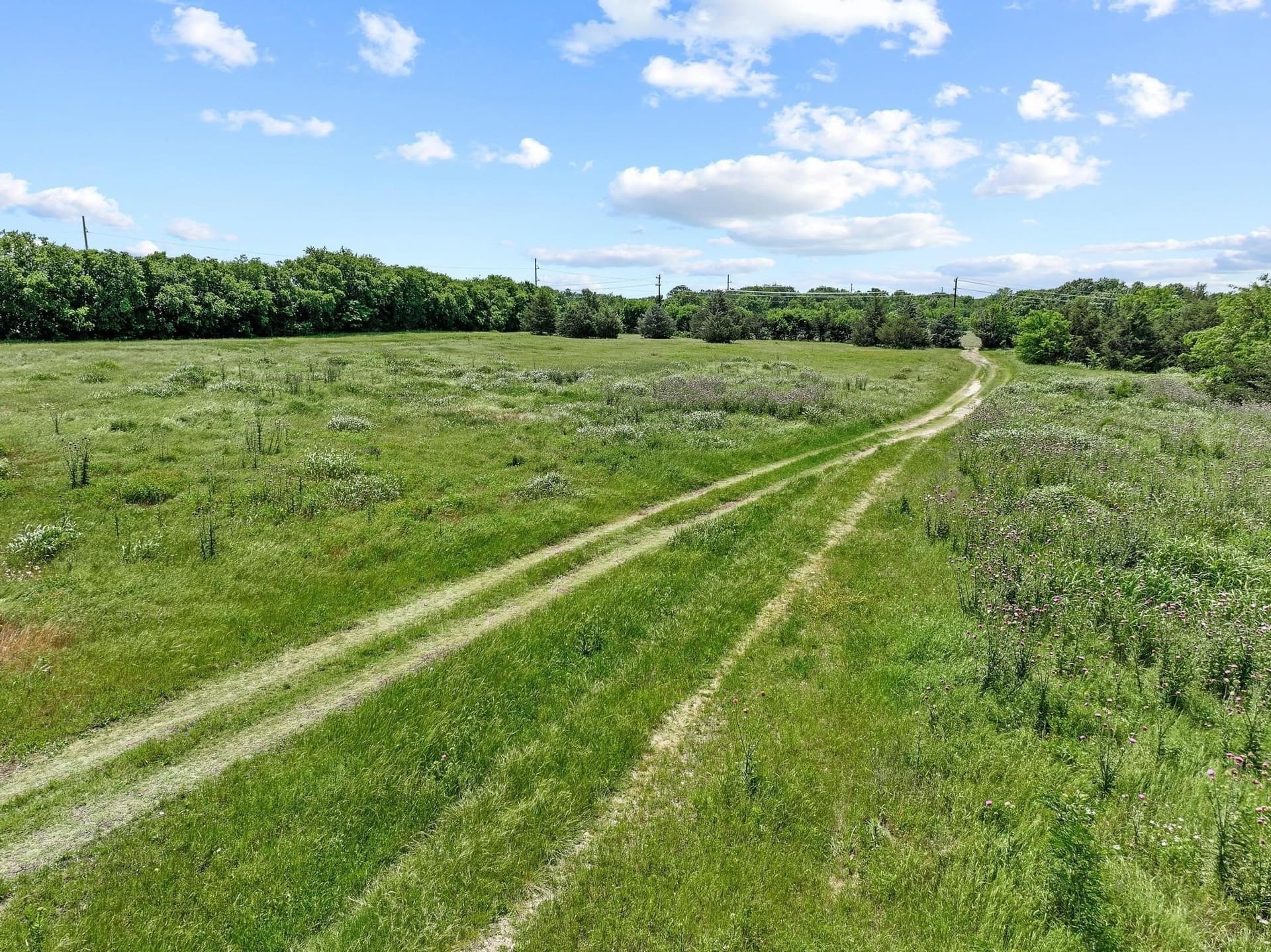 13.76 acres in Grayson County - photo 20