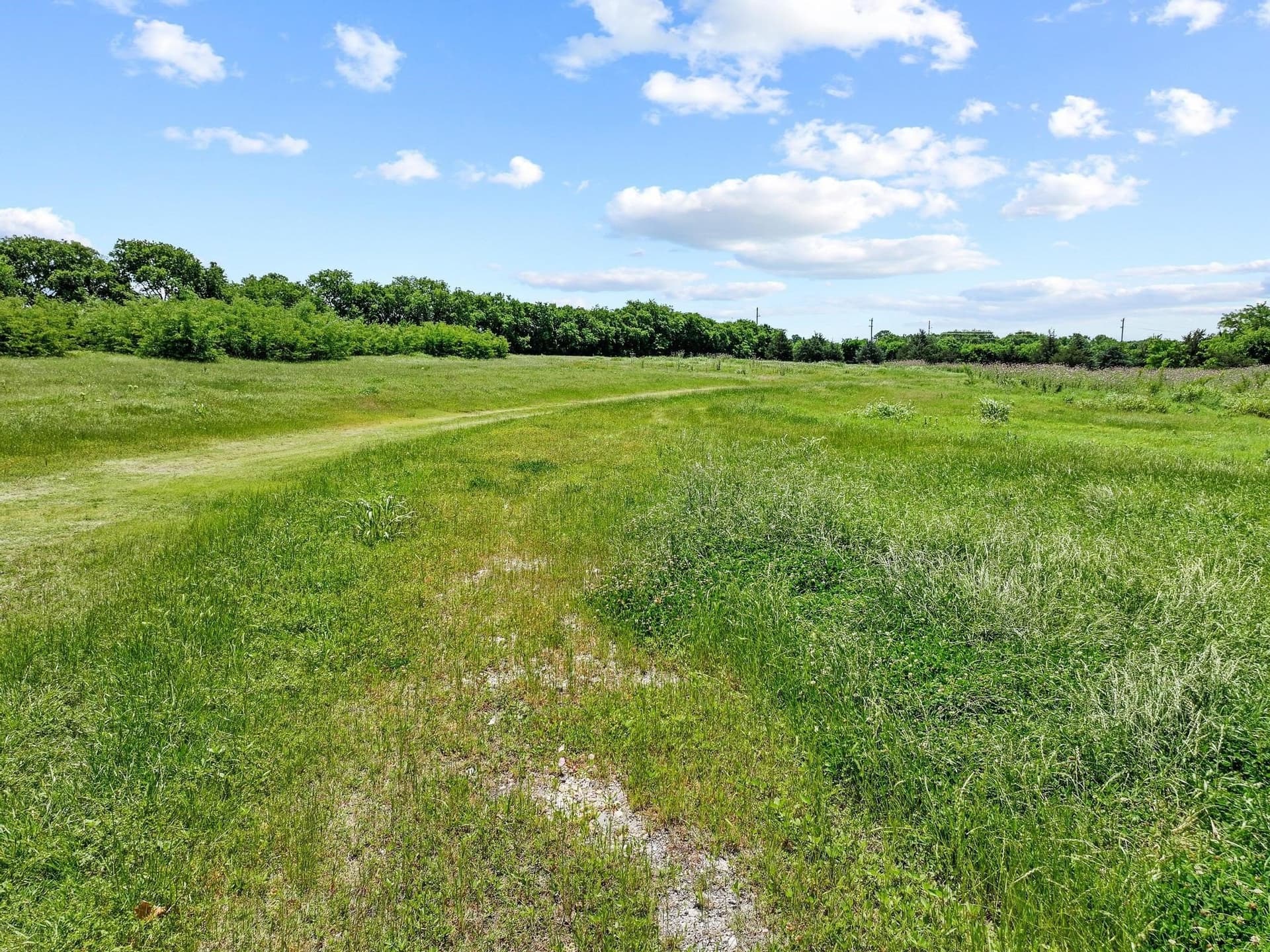 13.76 acres in Grayson County - photo 27