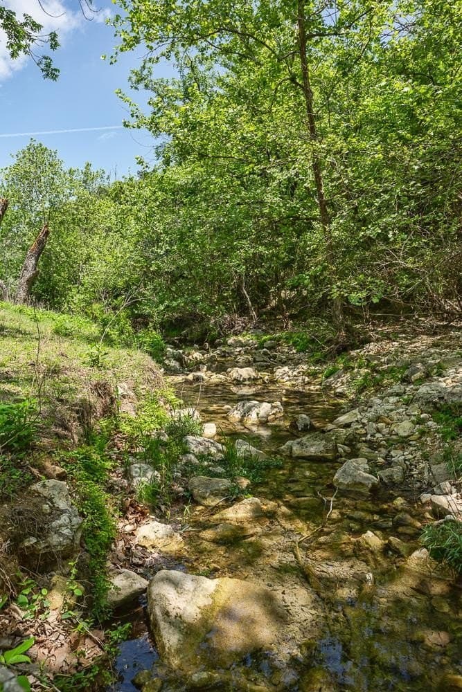 10.05 acres in Blanco County gallery image 2
