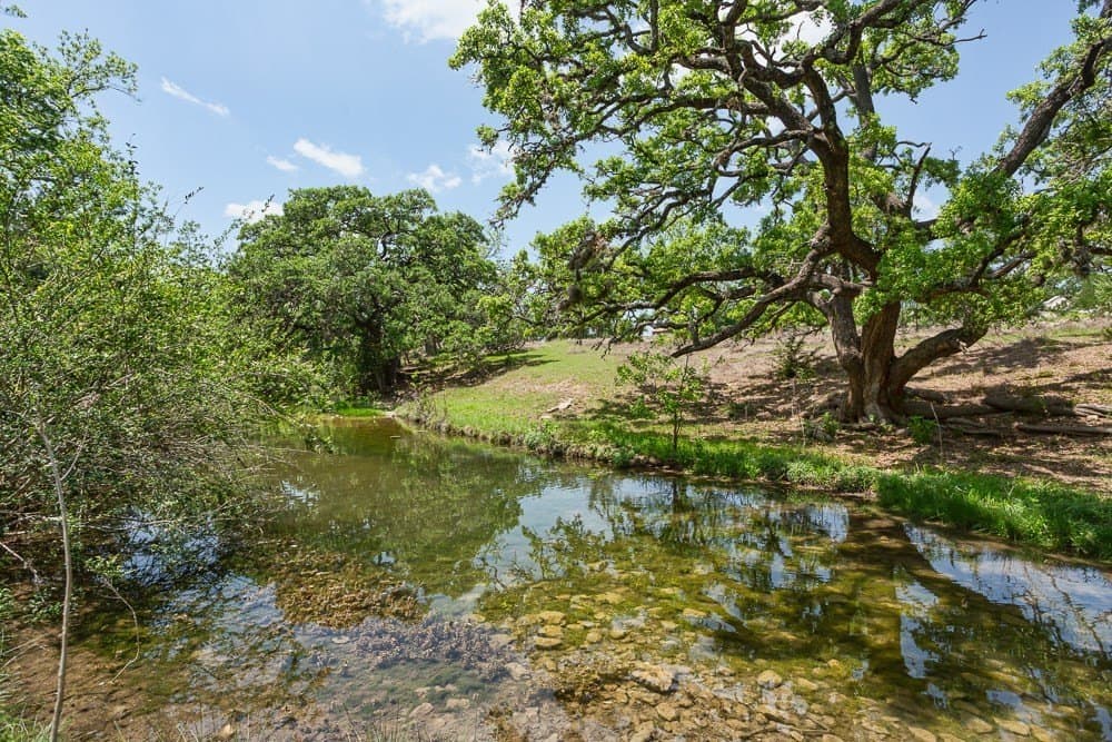 10.05 acres in Blanco County gallery image 3