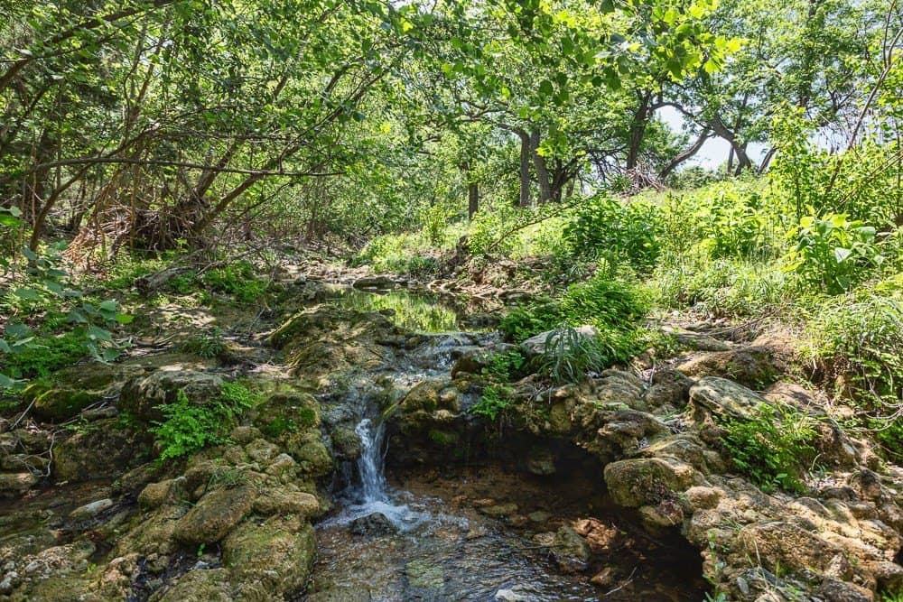 10.05 acres in Blanco County gallery image 4