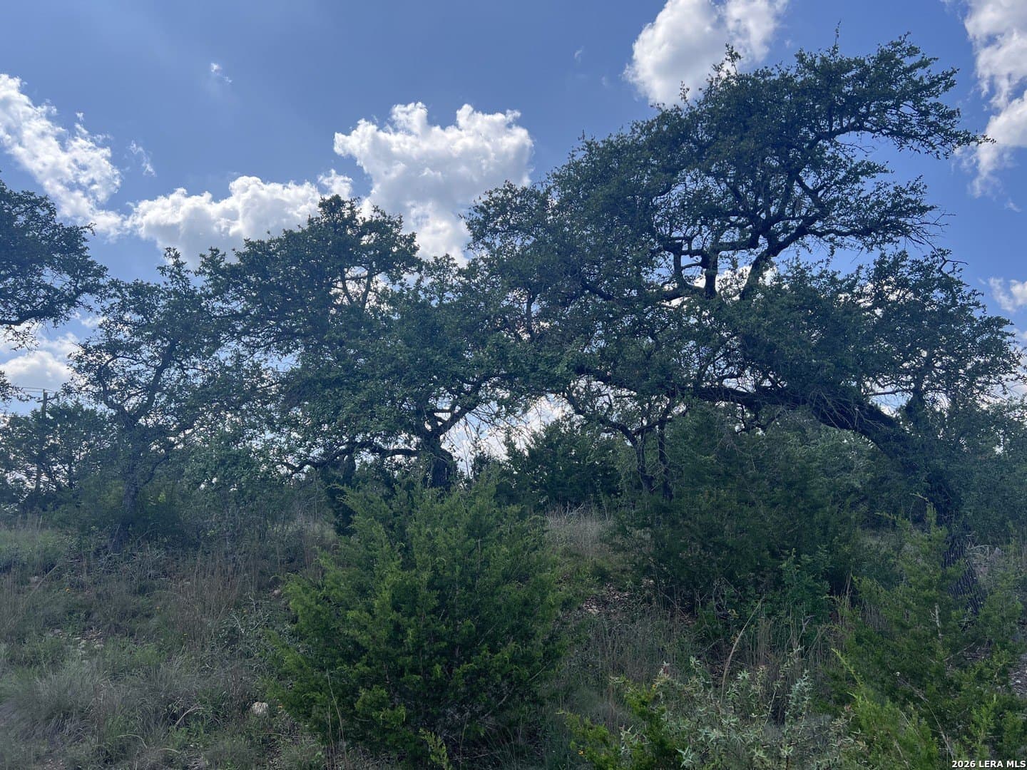 3.01 acres in Comal County gallery image 2