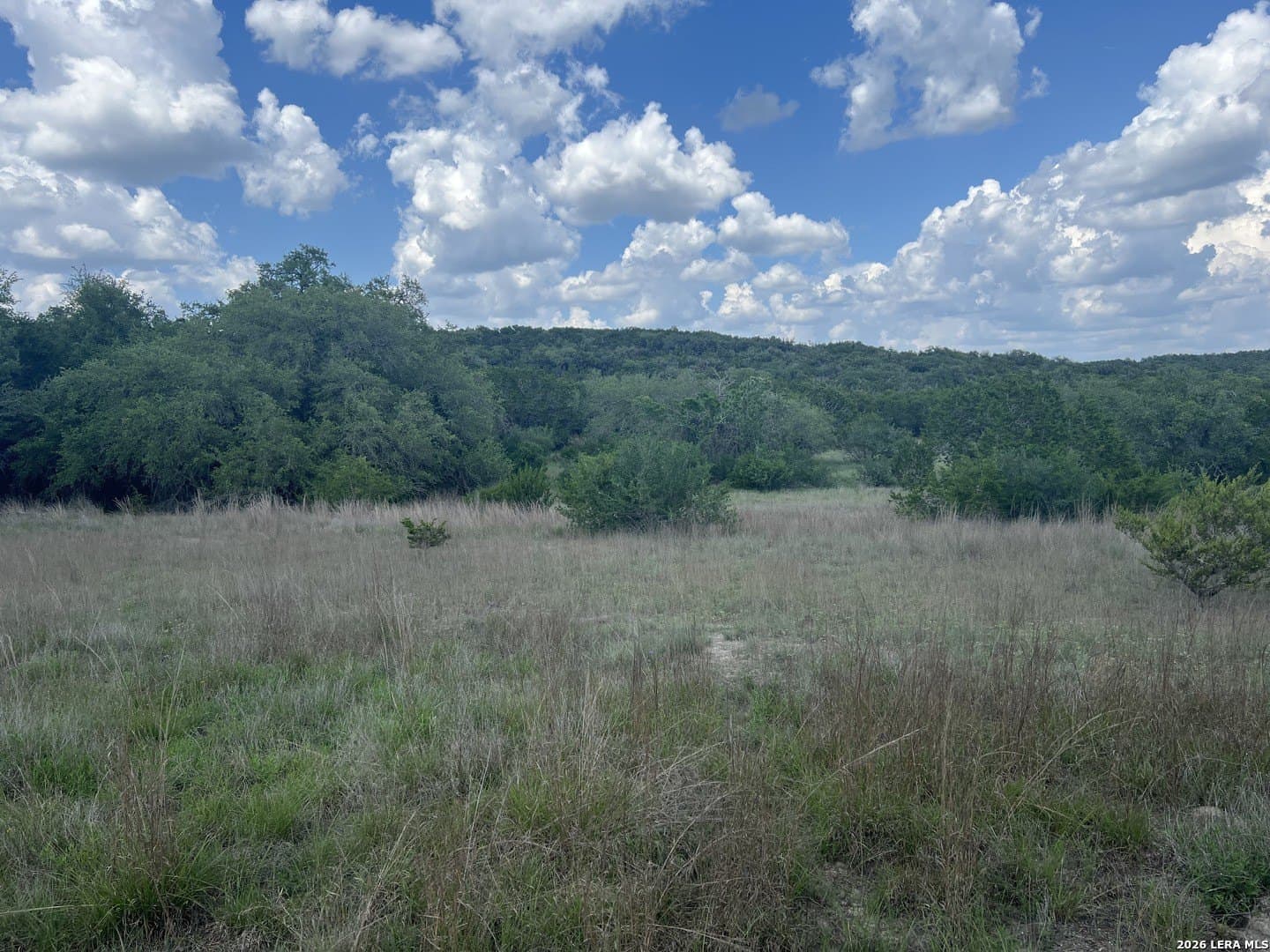 3.01 acres in Comal County gallery image 3
