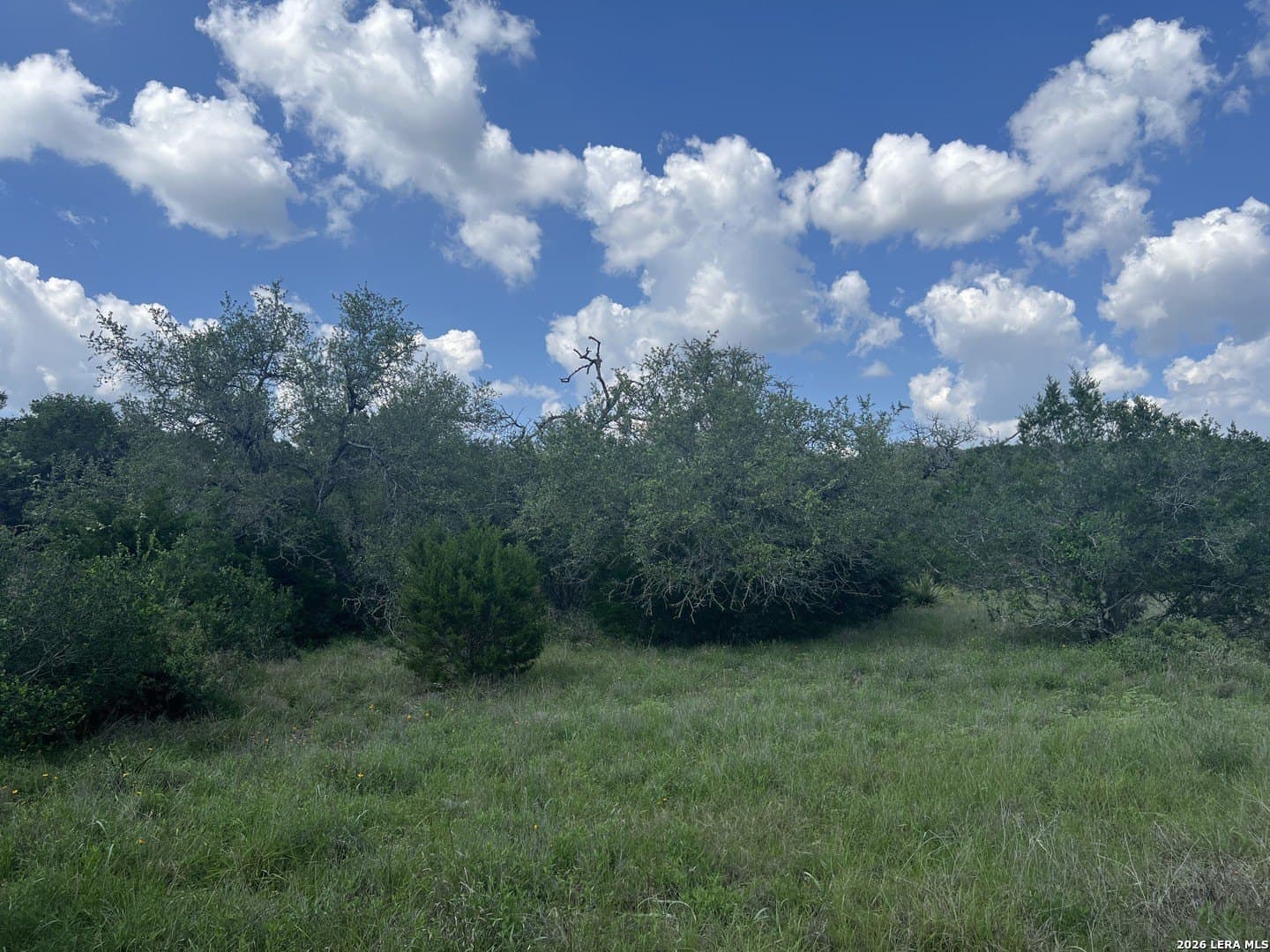 3.01 acres in Comal County gallery image 4