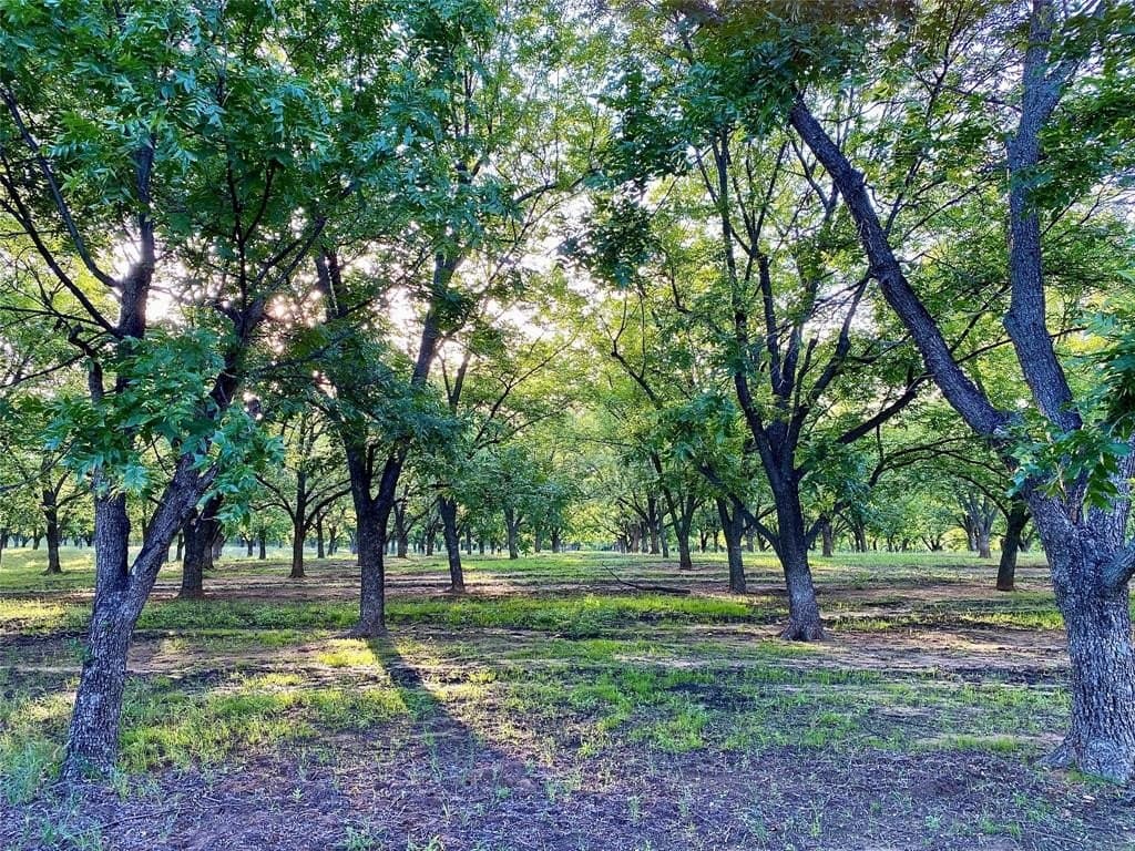 25.61 acres in Comanche County featured view