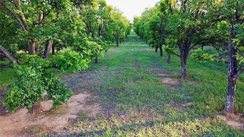25.61 acres in Comanche County