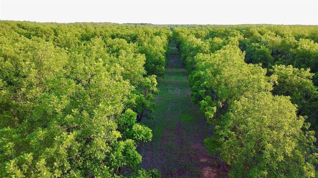 25.61 acres in Comanche County gallery image 2