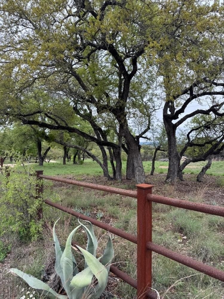 10 acres in Burnet County - photo 7