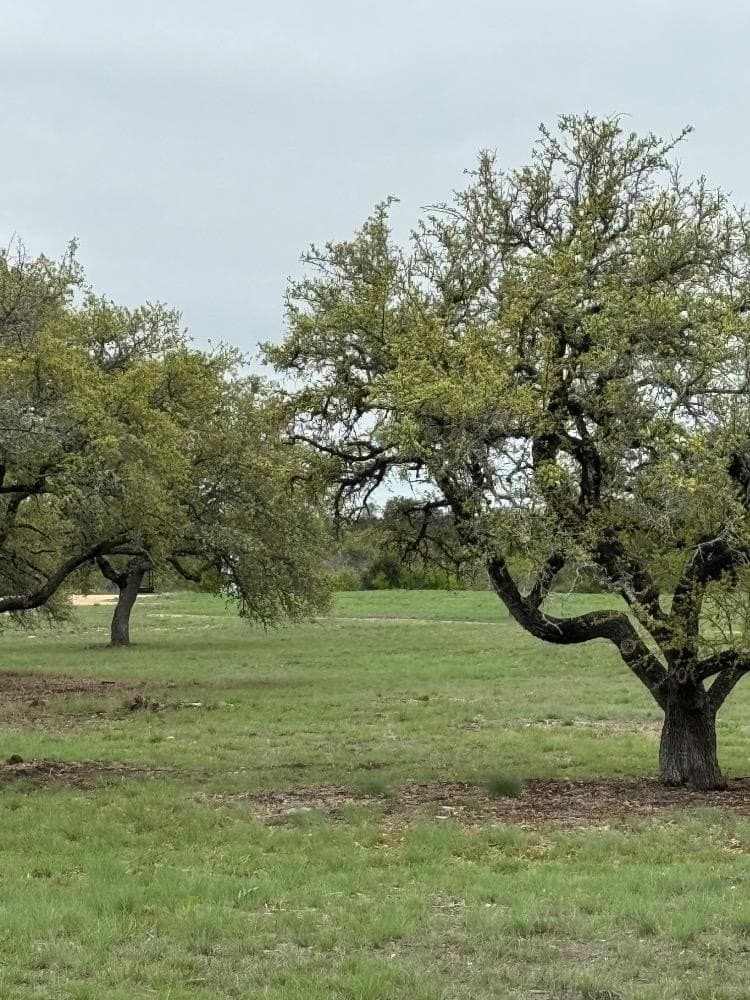 10 acres in Burnet County - photo 12